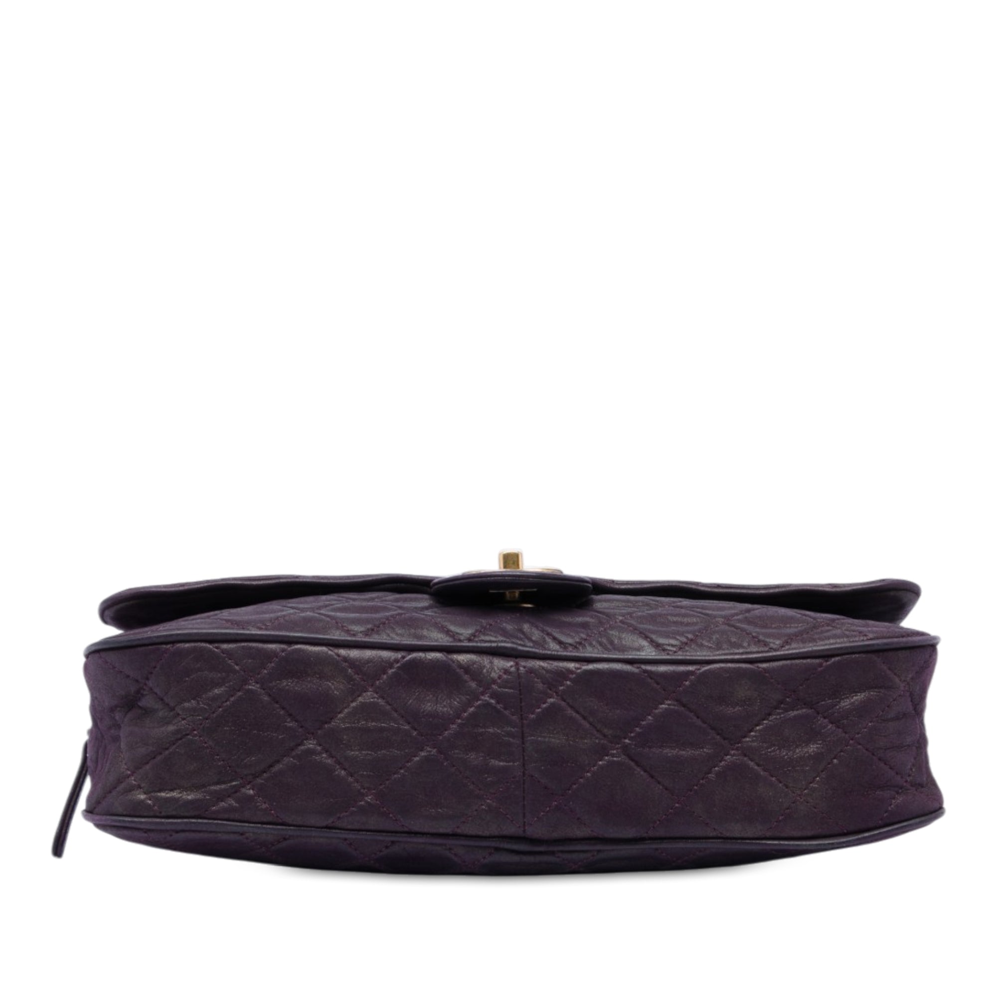 Chanel Large Quilted Iridescent Calfskin Shiva Flap - image 3