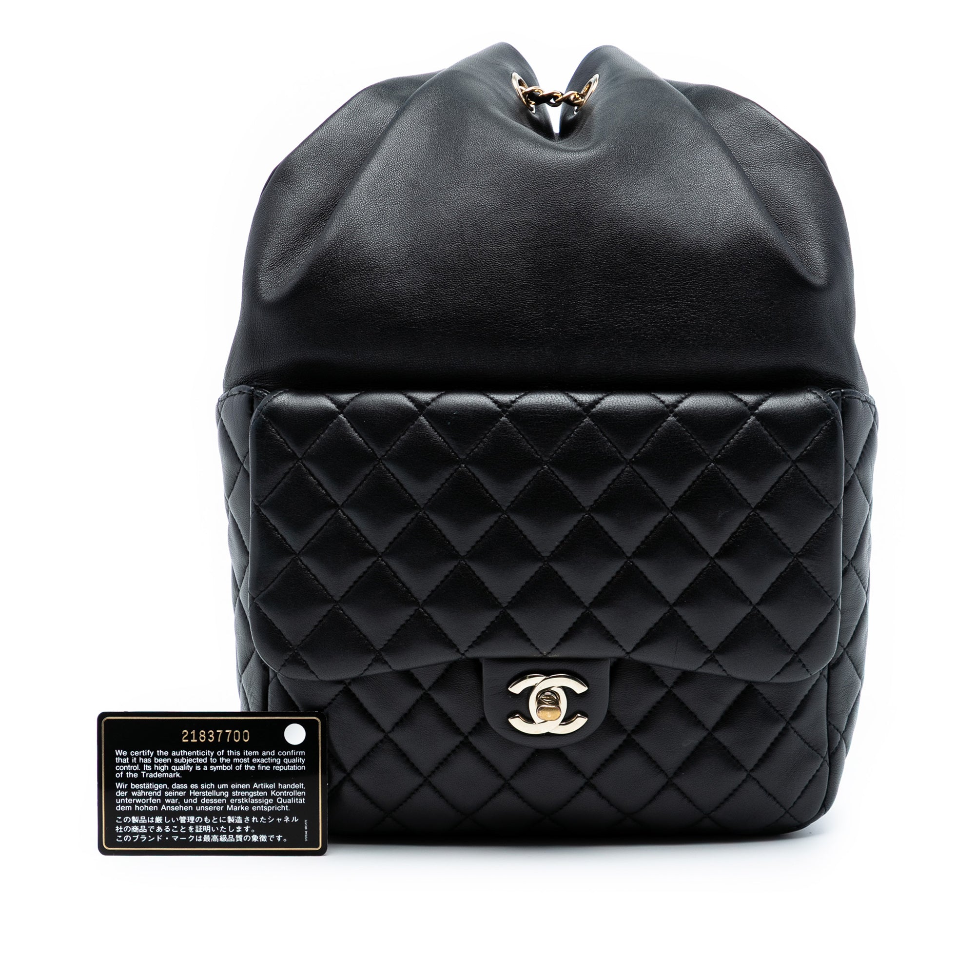 Chanel Large Quilted Lambskin In Seoul Backpack - image 8