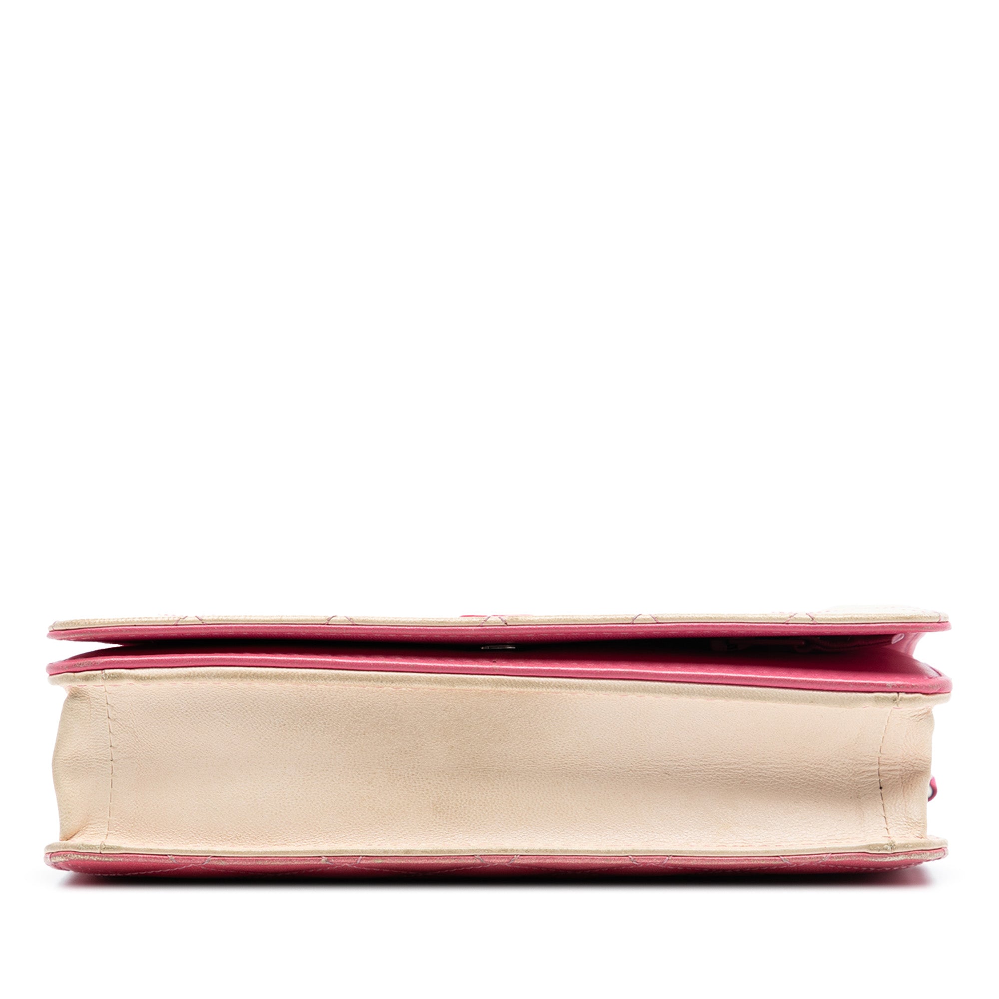 Chanel Ombre Lambskin Degrade Wallet On Chain - image 3