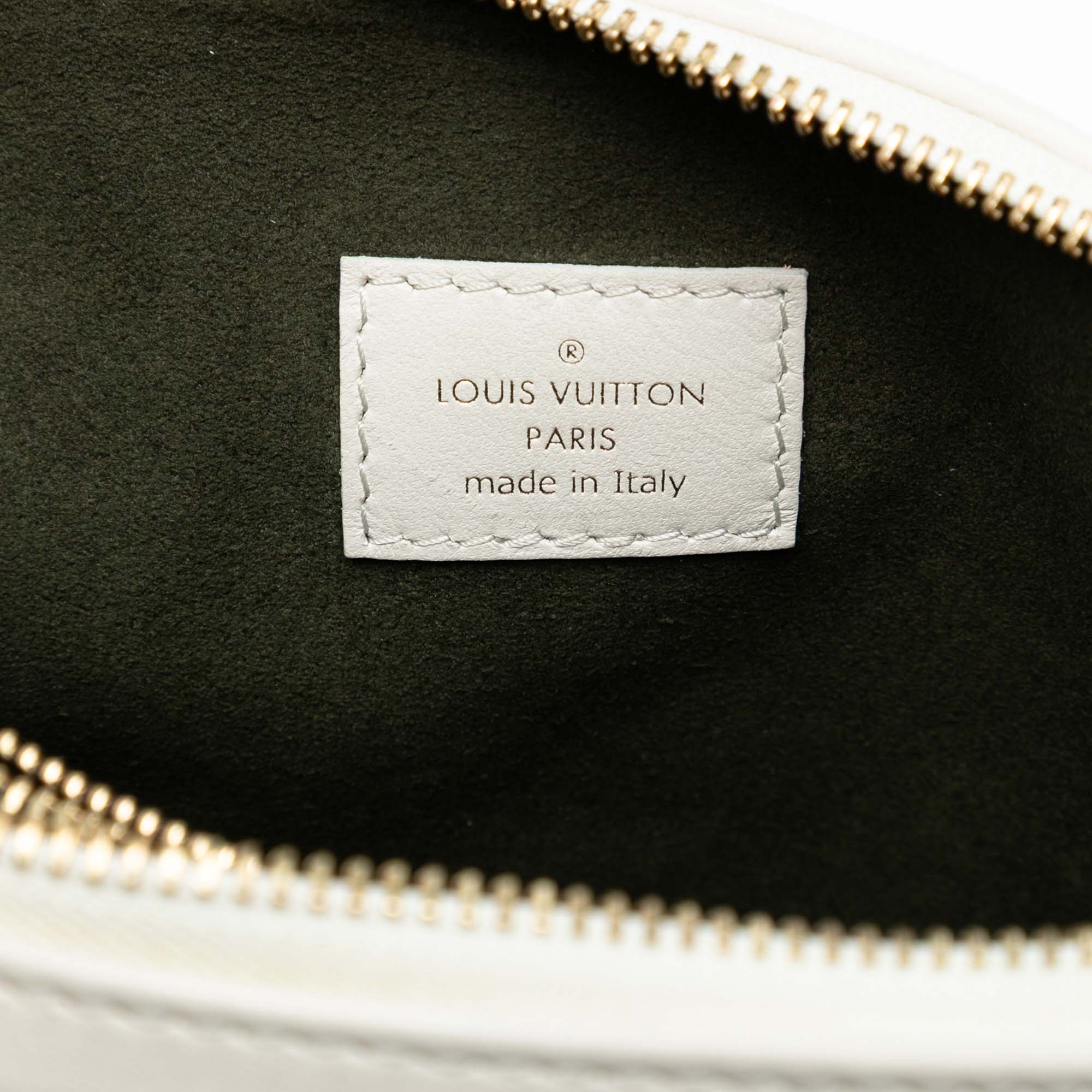Louis Vuitton Monogram Embossed Puffy Lambskin Coussin PM - image 5