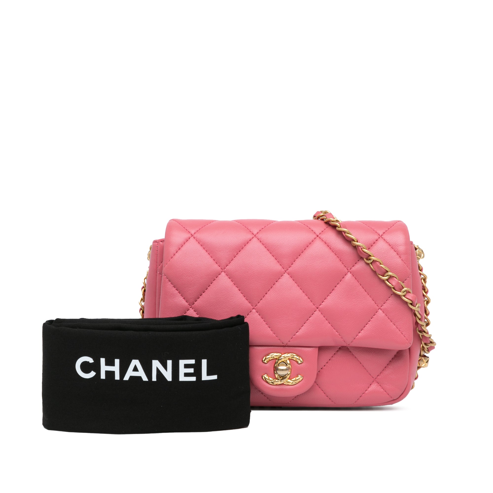 Chanel Small Quilted Lambskin Dynasty Flap - image 9