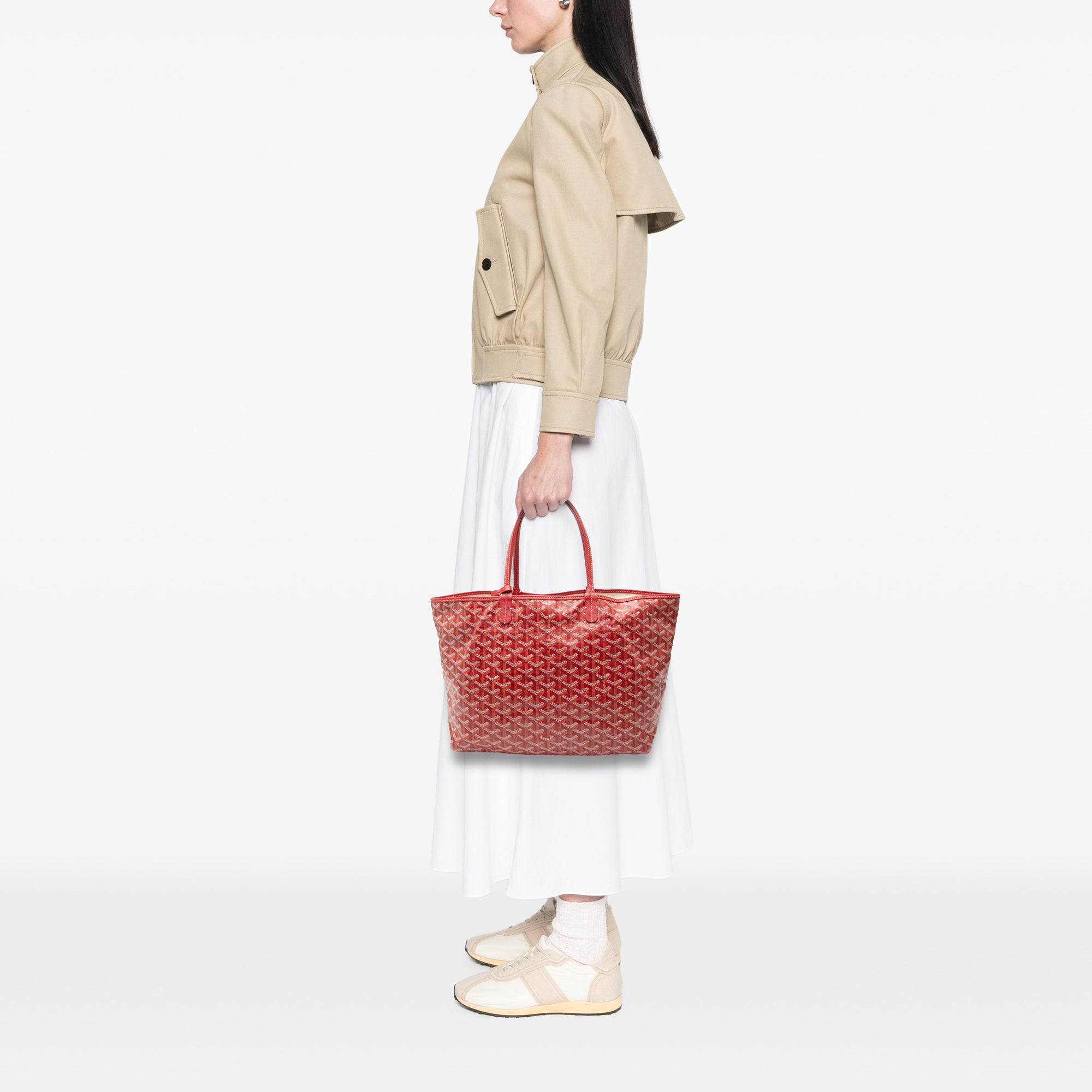Goyard Goyardine Saint Louis PM - image 7