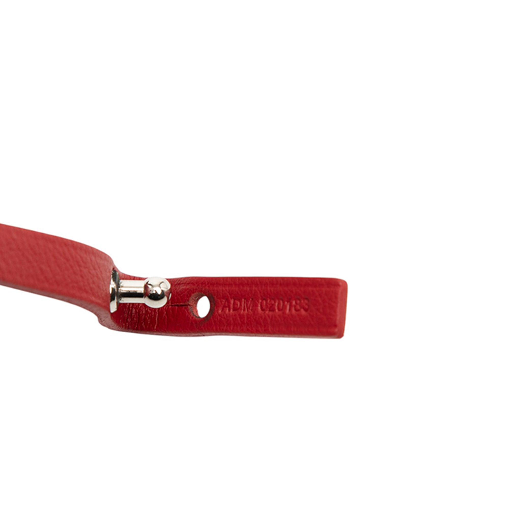 Goyard Goyardine Saint Louis PM - image 6