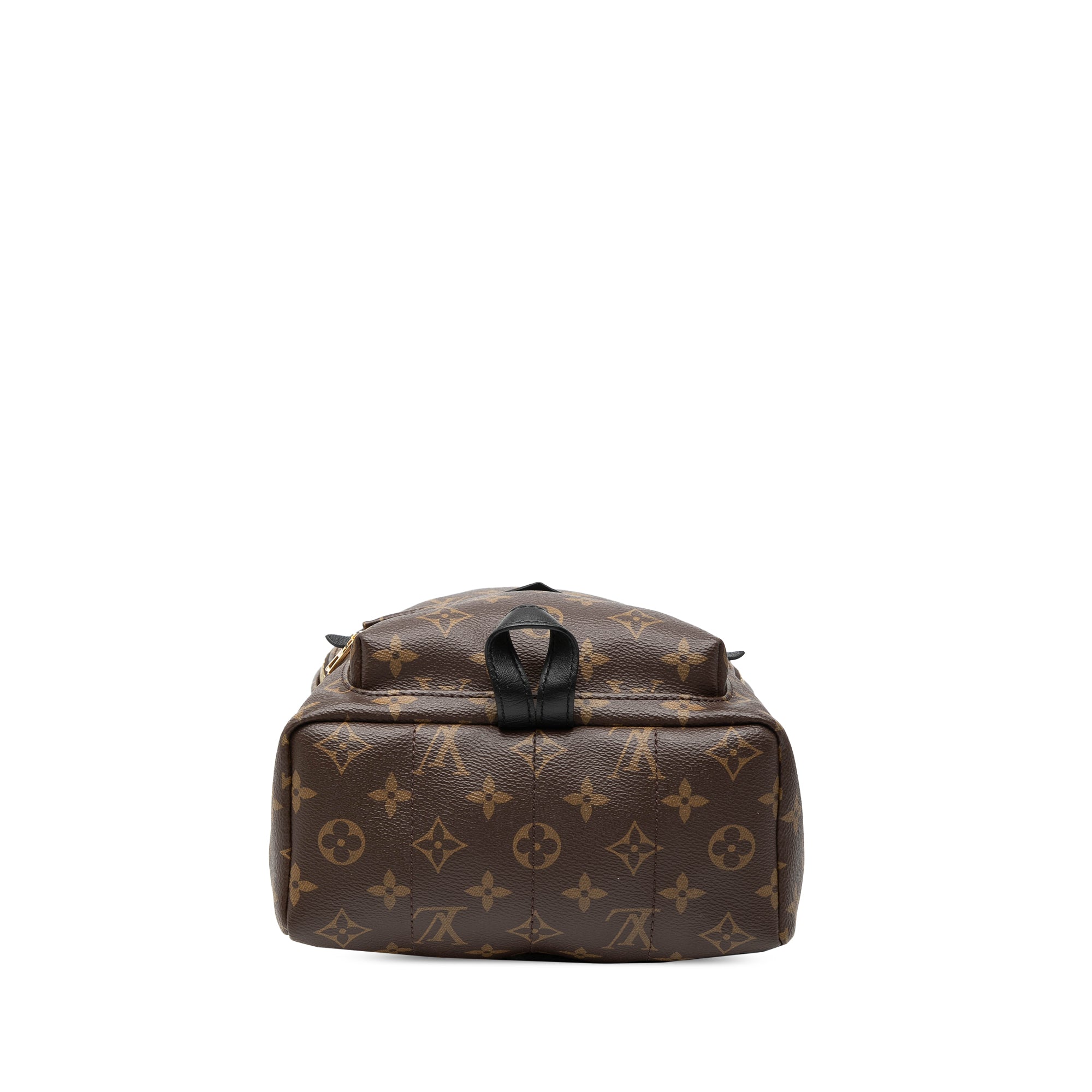 Louis Vuitton Monogram Palm Springs PM - image 3