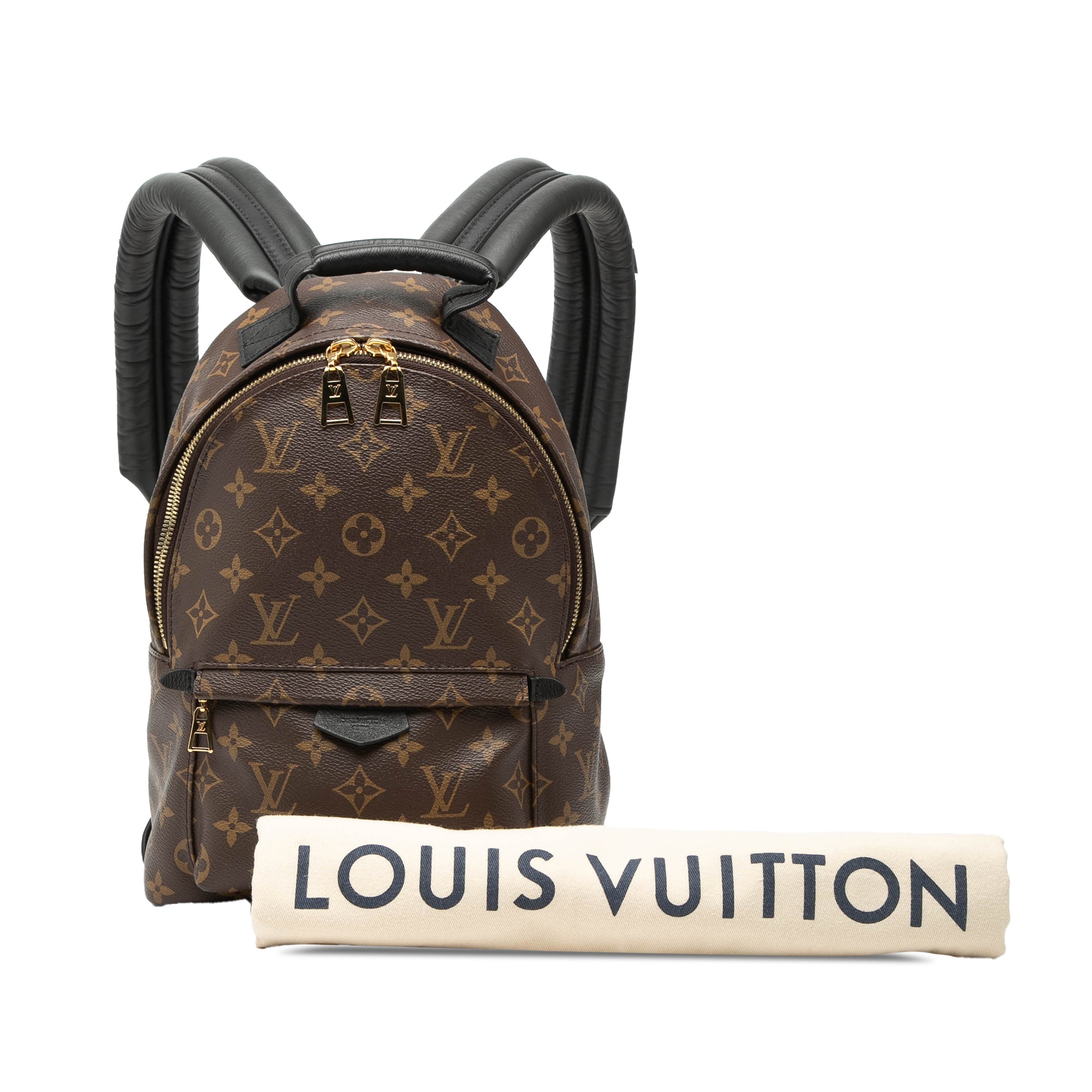 Louis Vuitton Monogram Palm Springs PM - image 6