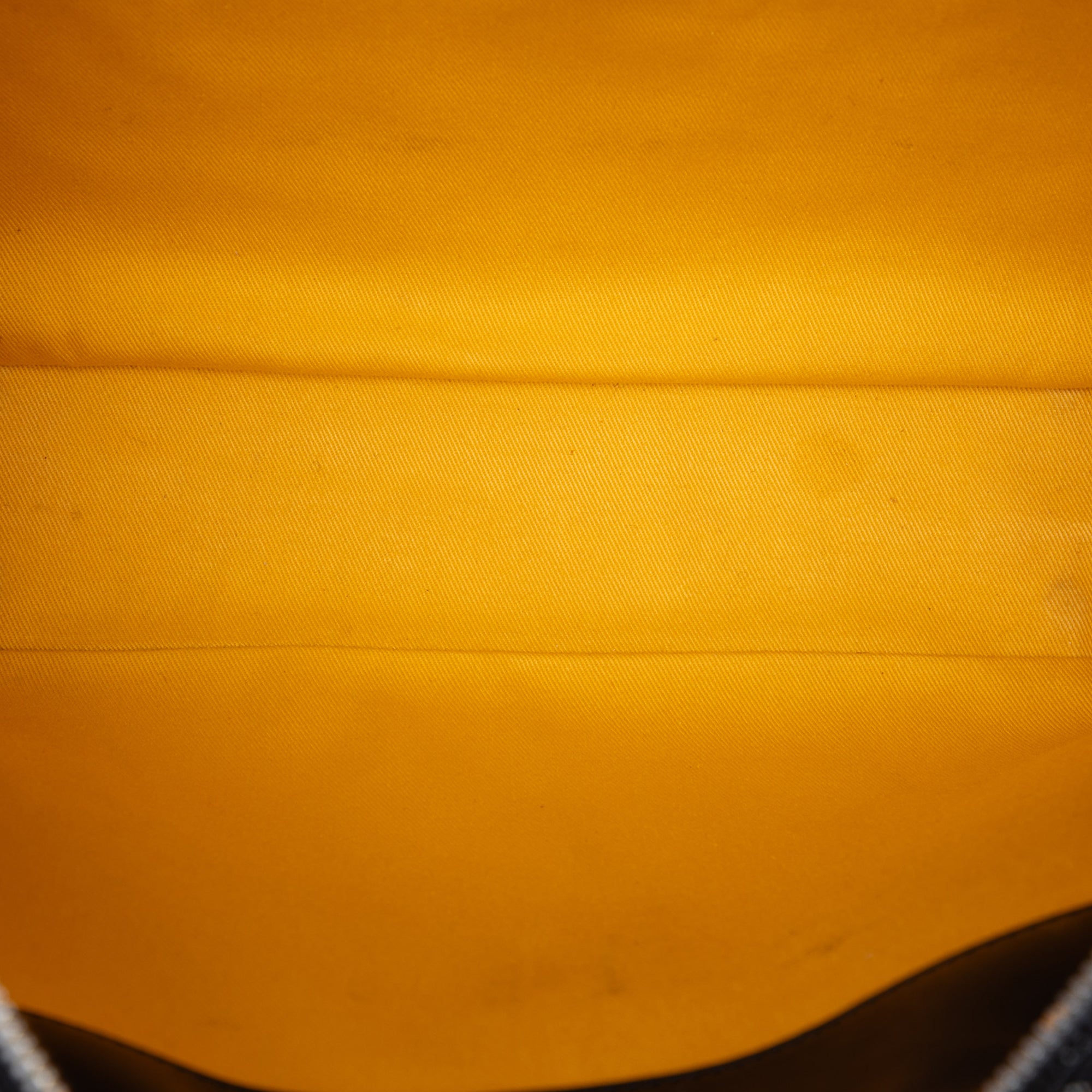Goyard Goyardine Ambassade PM - image 4