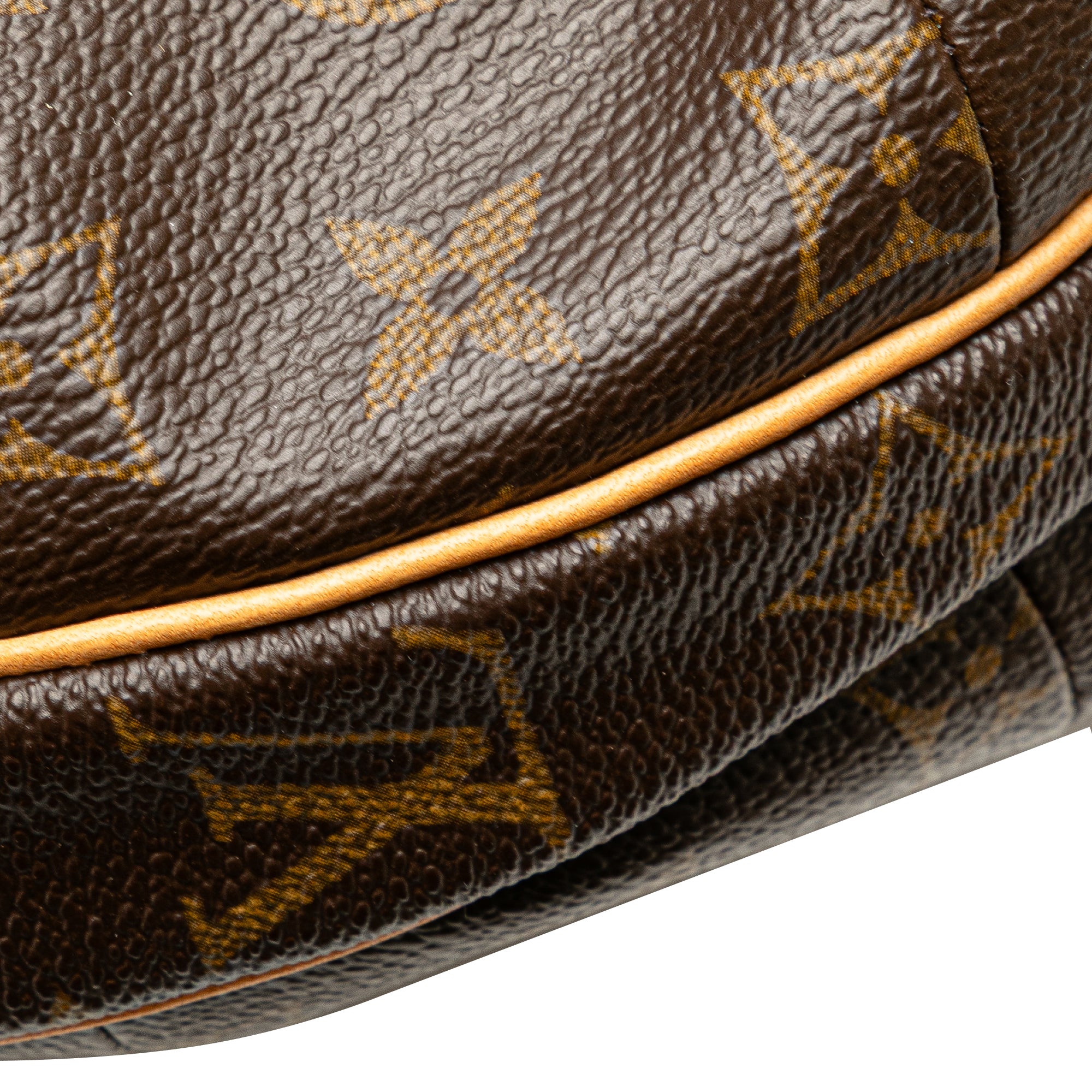 Louis Vuitton Monogram Croissant MM - image 9