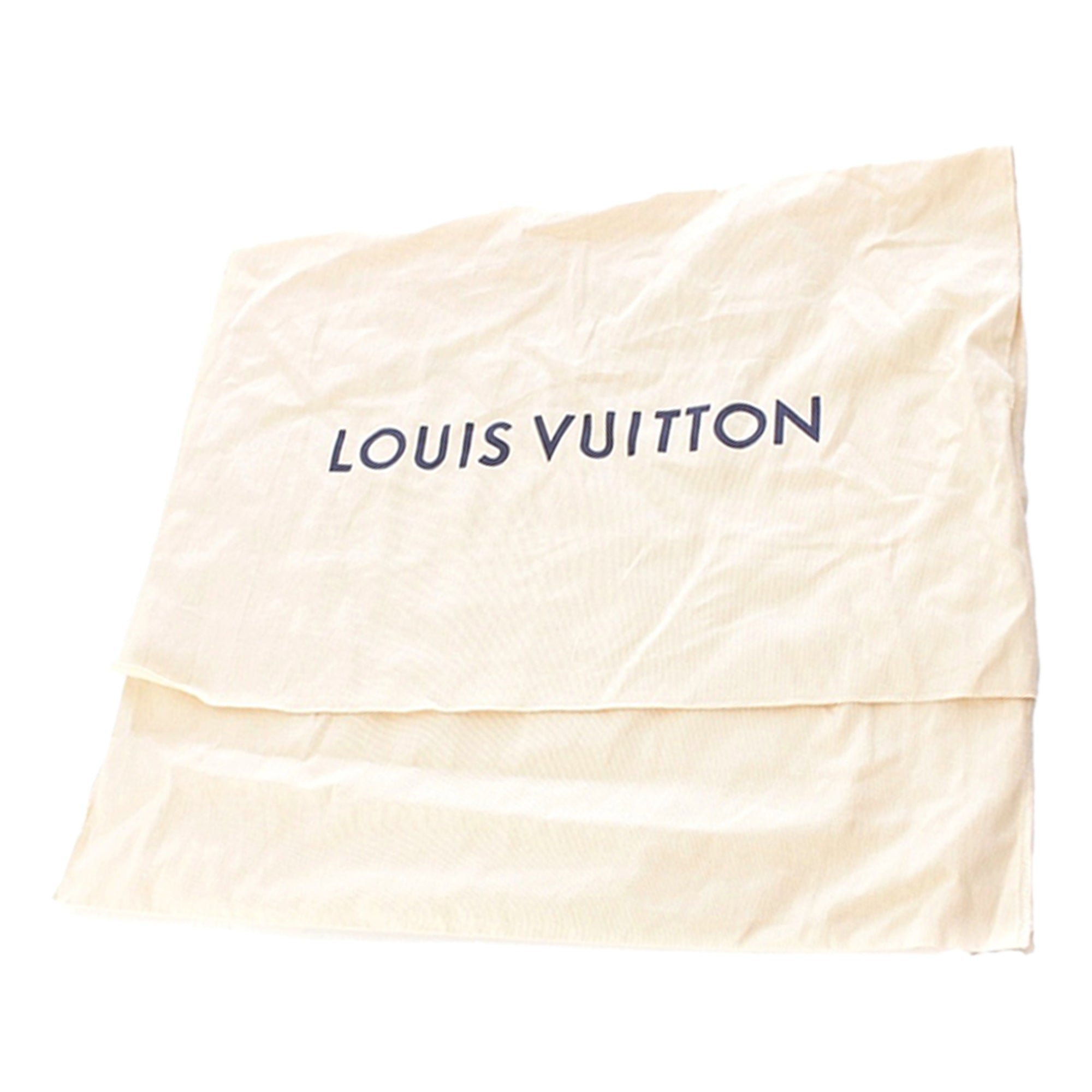 Louis Vuitton Nubuck Dust Bag Tote - image 15