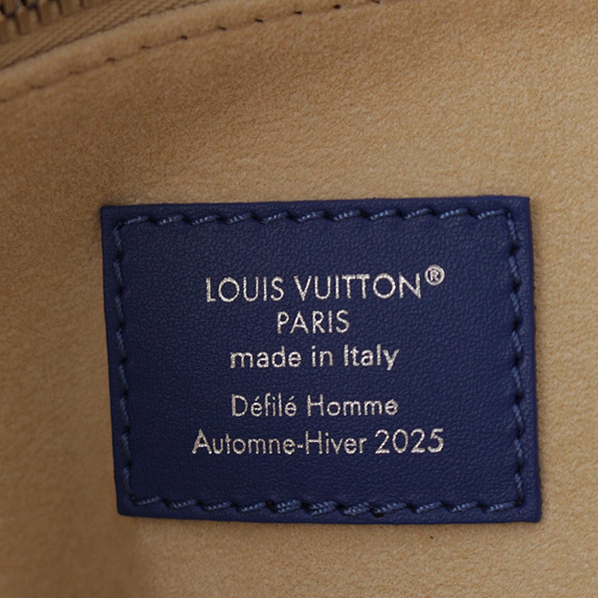 Louis Vuitton Nubuck Dust Bag Tote - image 7