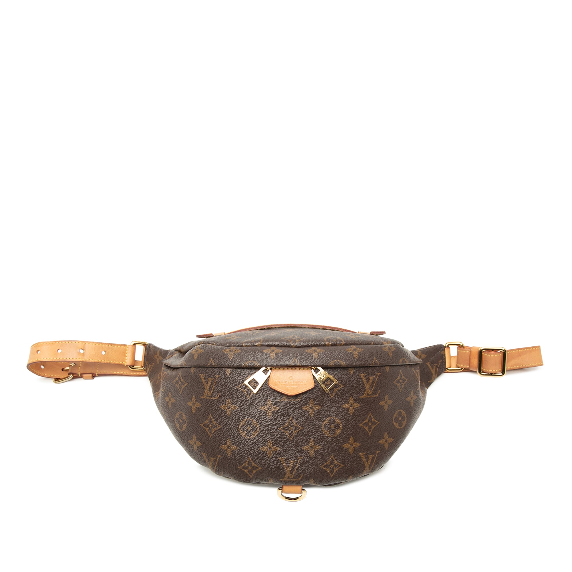 Louis Vuitton Monogram Bumbag - image 1