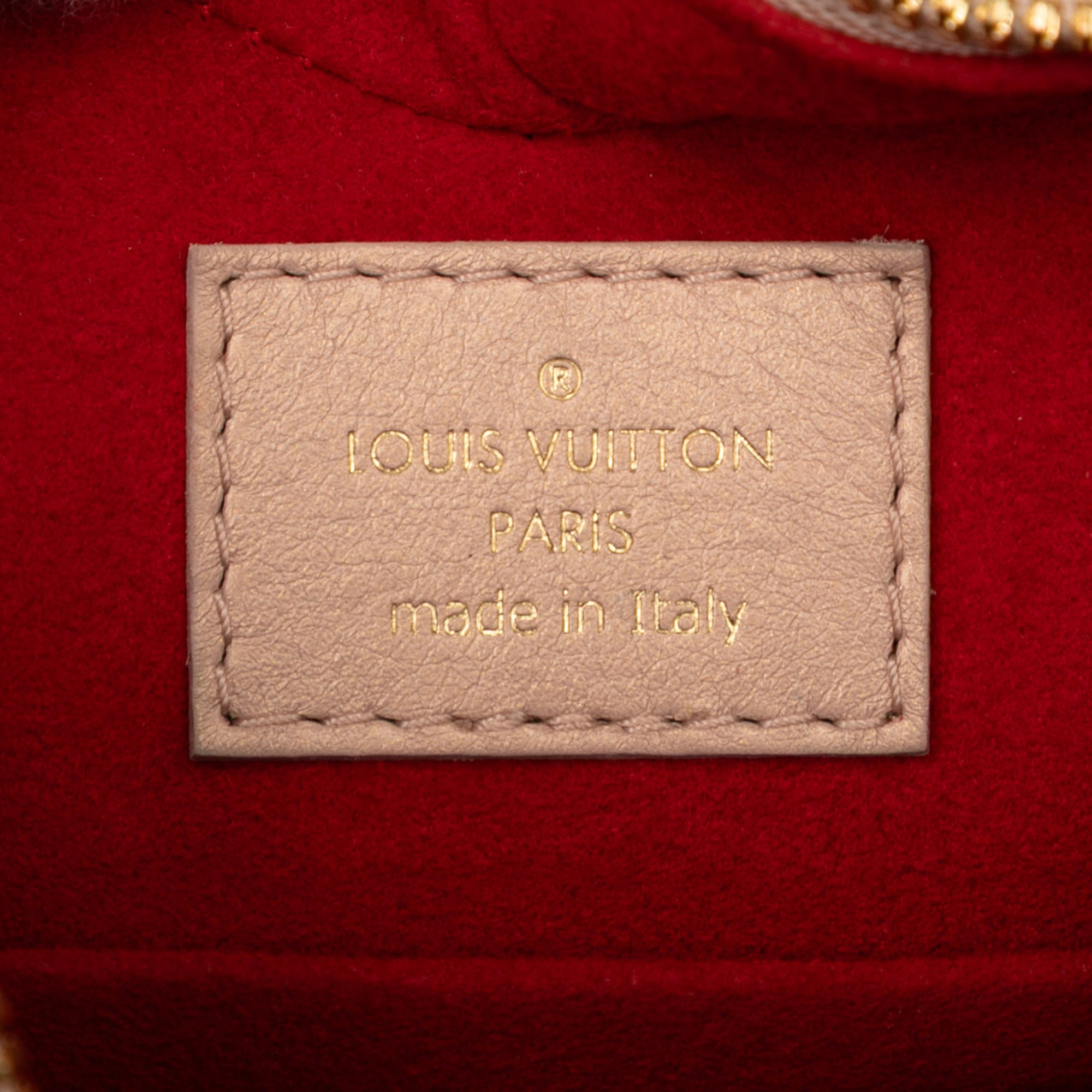 Louis Vuitton Monogram Embossed Lambskin Fall In Love Sac Coeur - image 5