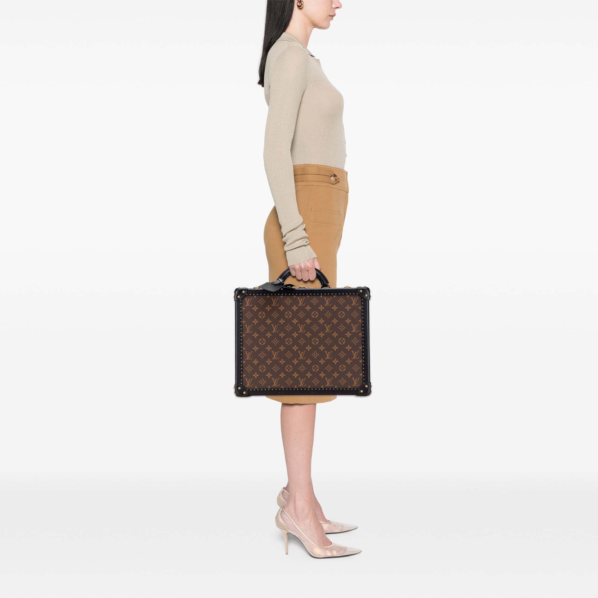 Louis Vuitton Monogram Reverse Cotteville 40 - image 11