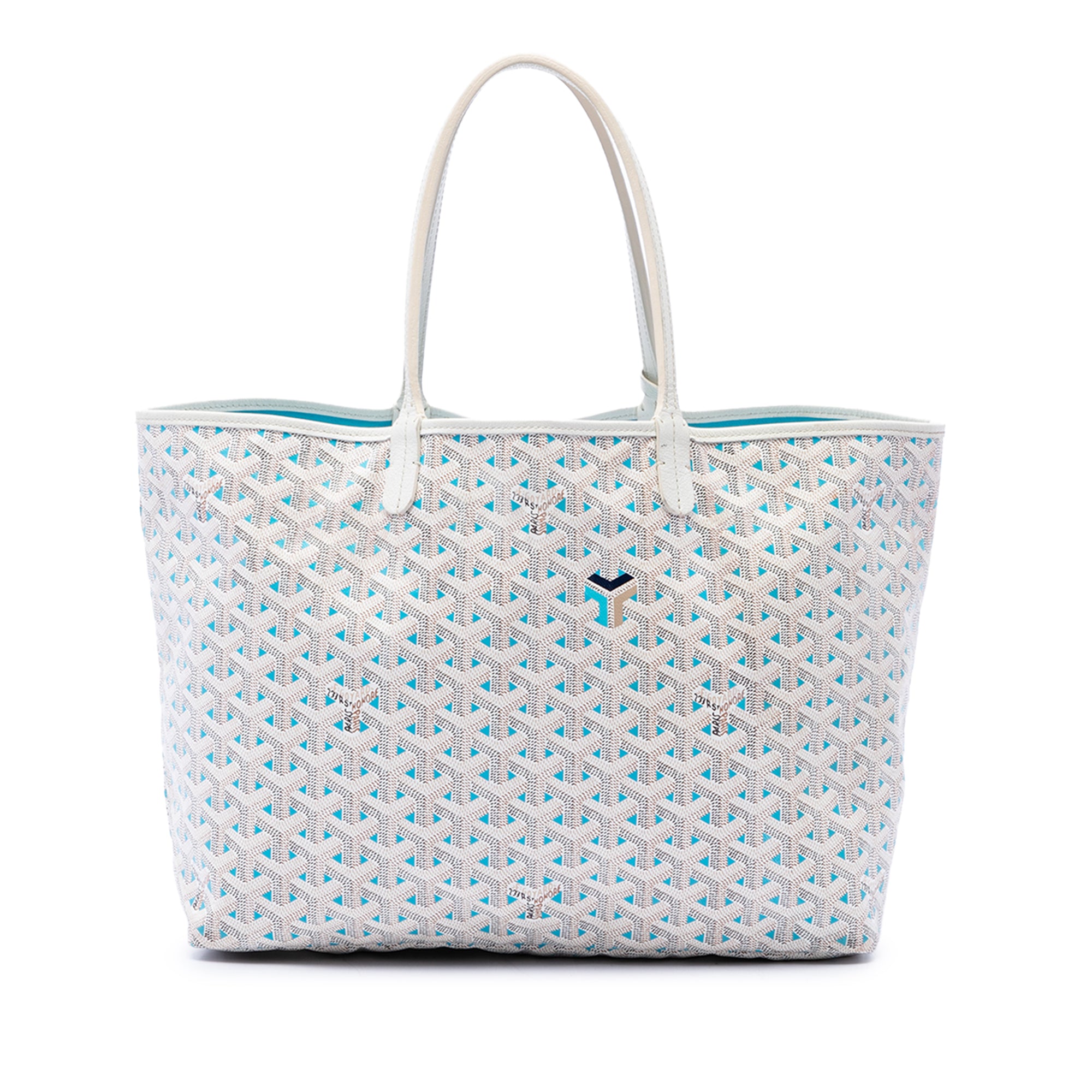 Goyard Goyardine Claire Voie Saint Louis PM - image 1