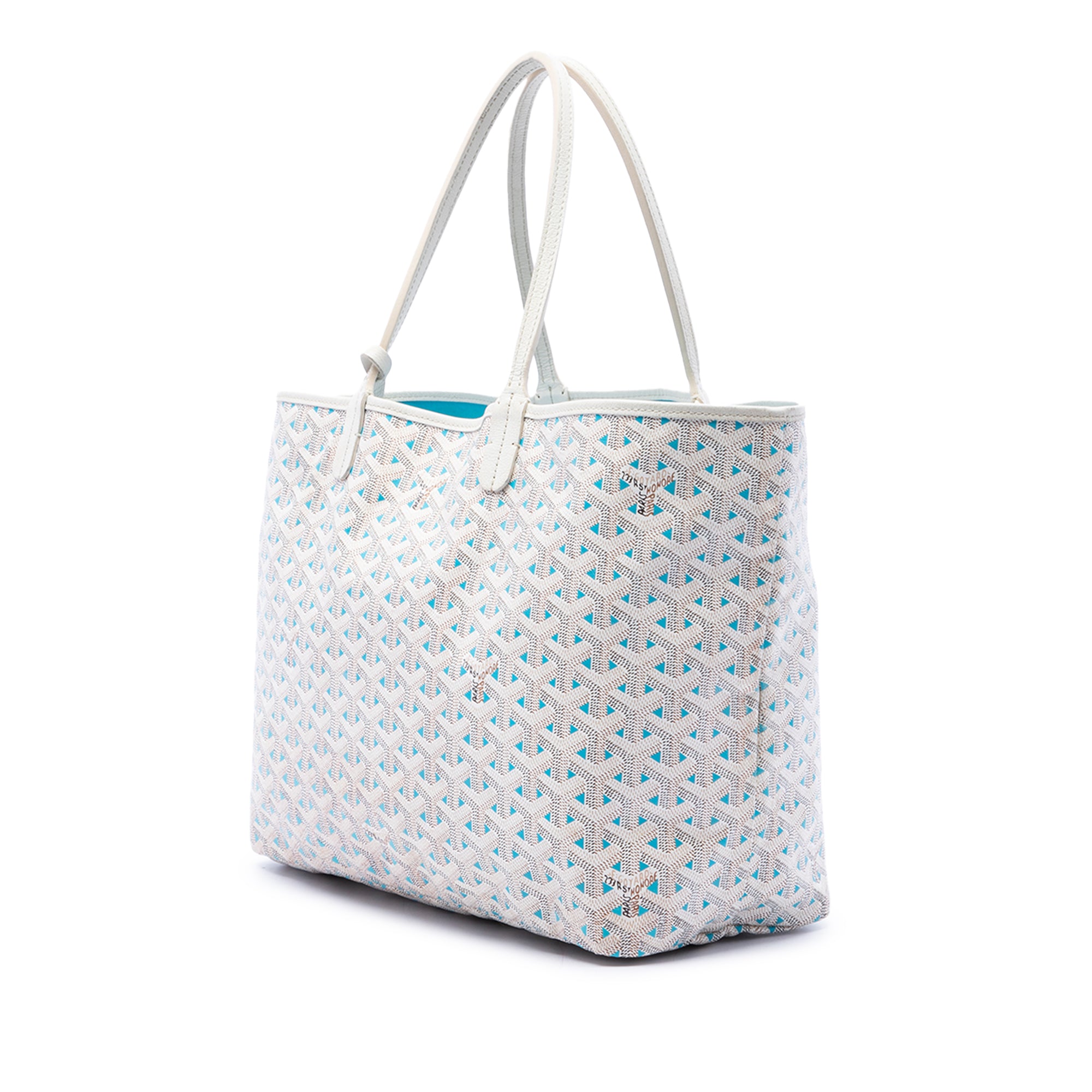 Goyard Goyardine Claire Voie Saint Louis PM - image 2