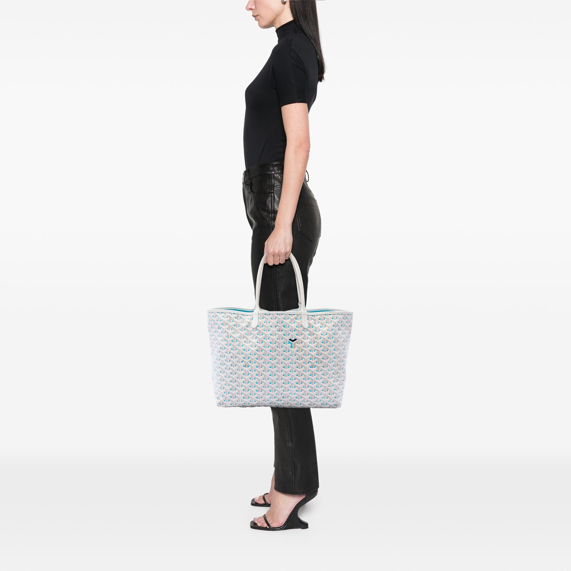 Goyard Goyardine Claire Voie Saint Louis PM - image 6