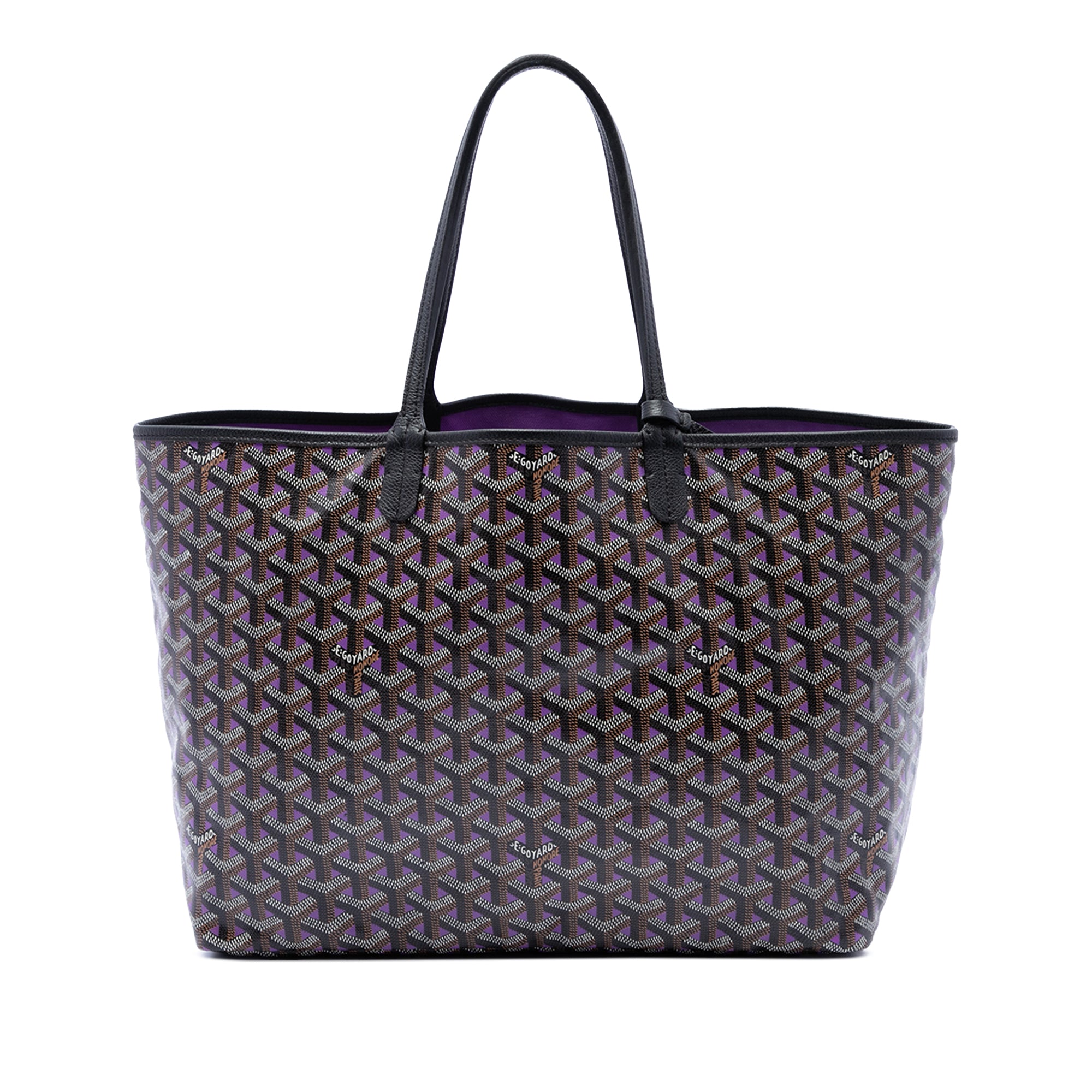 Goyard Goyardine Claire Voie Saint Louis PM - image 1