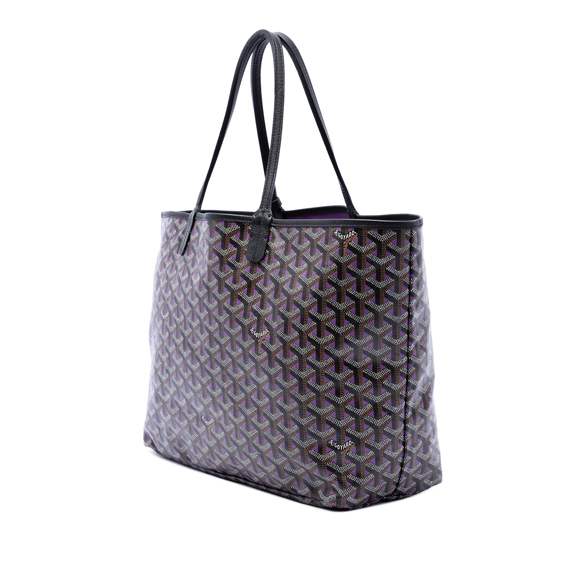 Goyard Goyardine Claire Voie Saint Louis PM - image 2