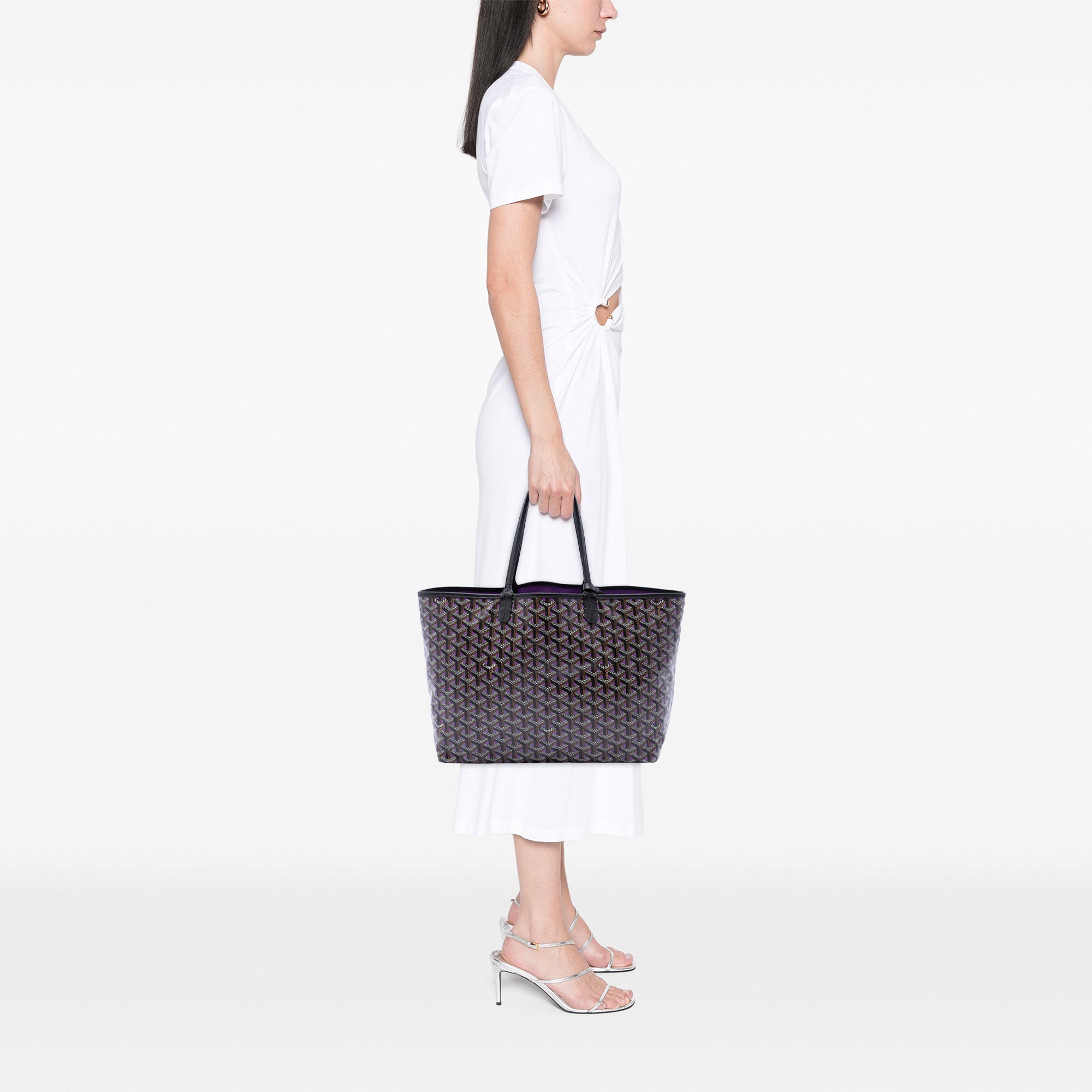 Goyard Goyardine Claire Voie Saint Louis PM - image 6