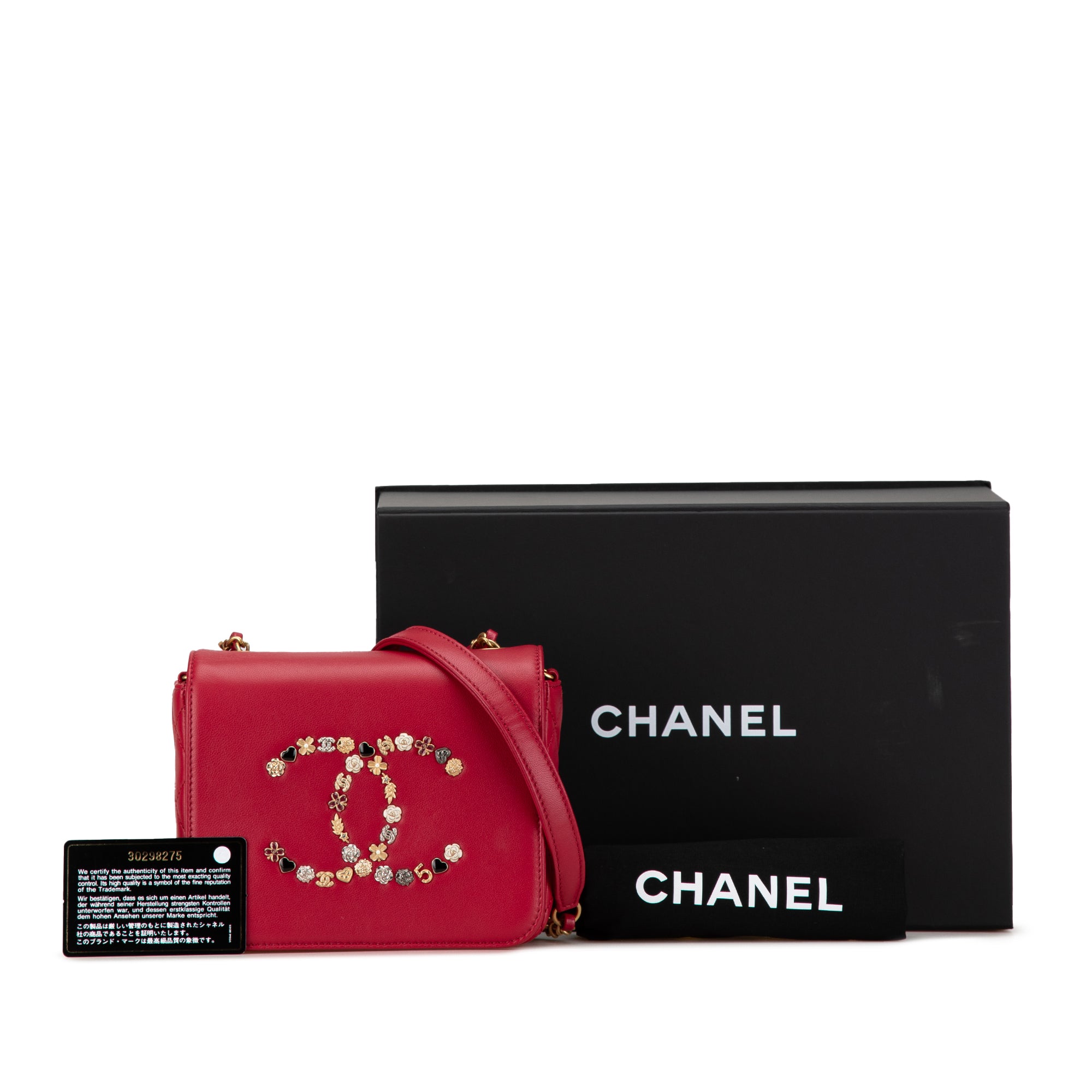 Chanel Lambskin Lucky Charms Flap Crossbody - image 9