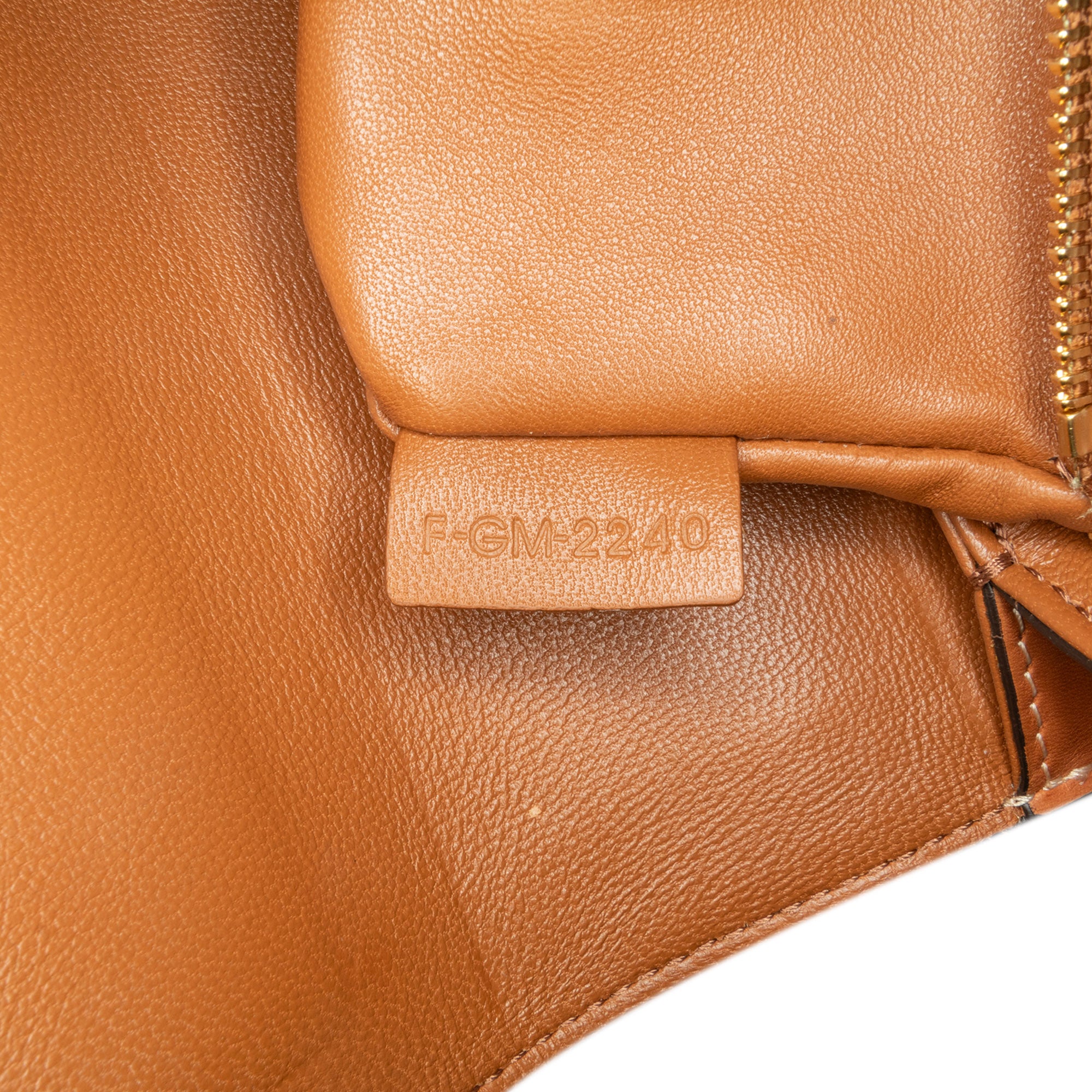 Celine Teen Triomphe Coated Canvas and Calfskin Triomphe Crossbody - image 6