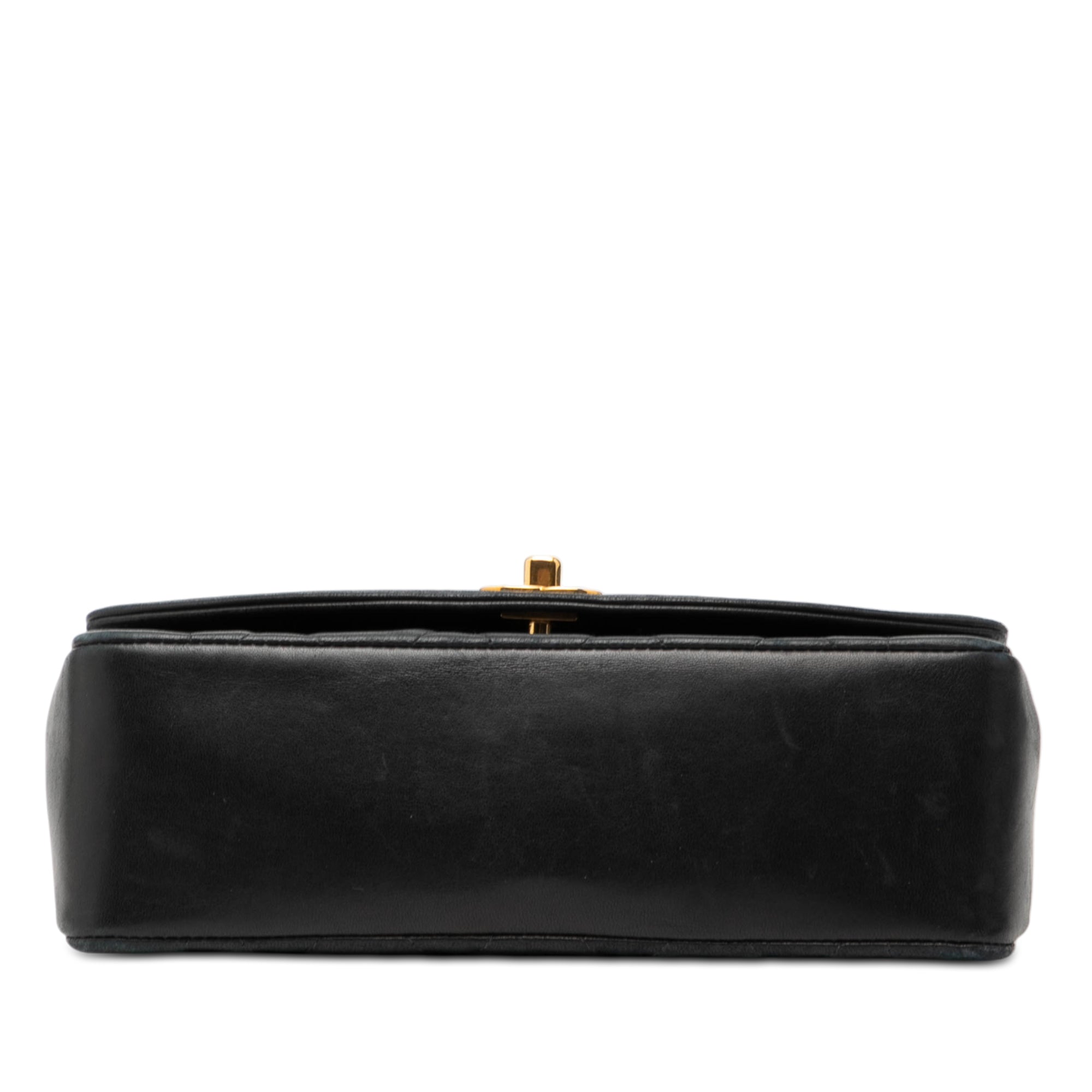 Chanel Small Lambskin Diana Flap - image 3