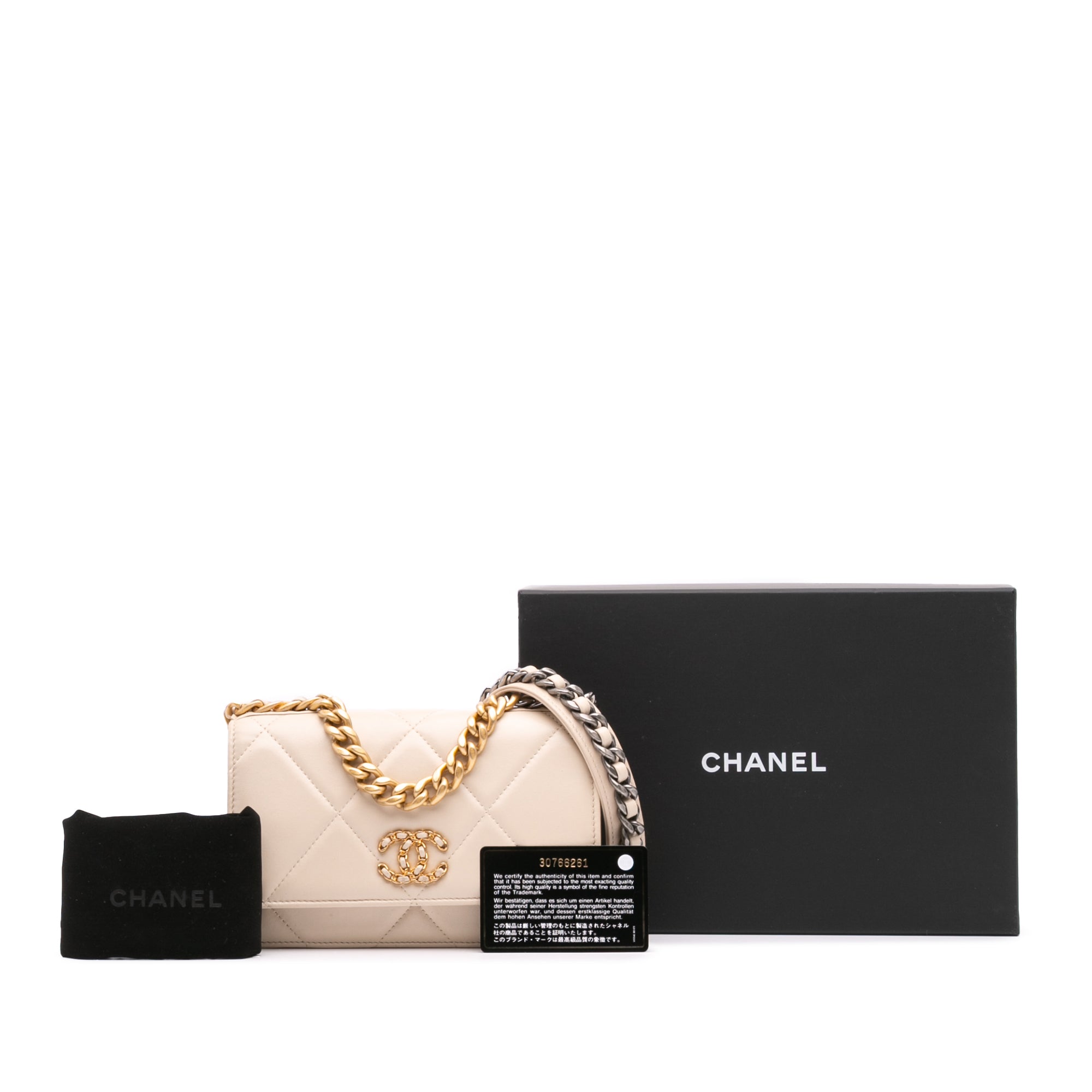 Chanel Quilted Lambskin 19 Wallet on Chain - image 11