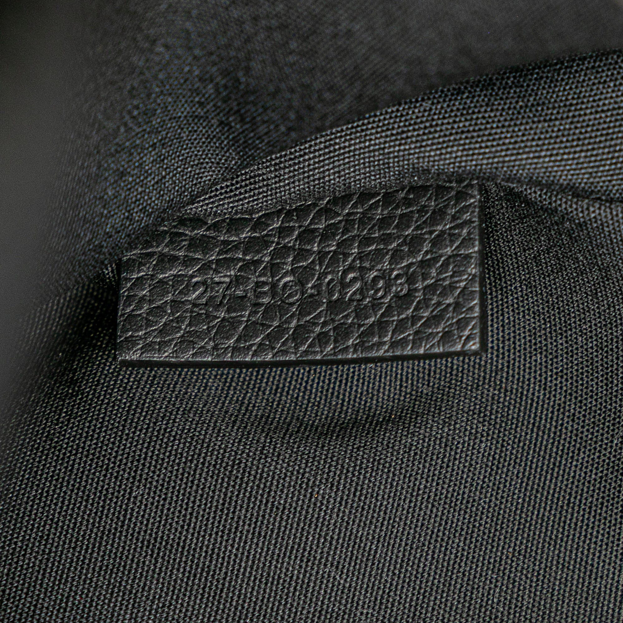 Dior Oblique Canvas 8 Backpack - image 6