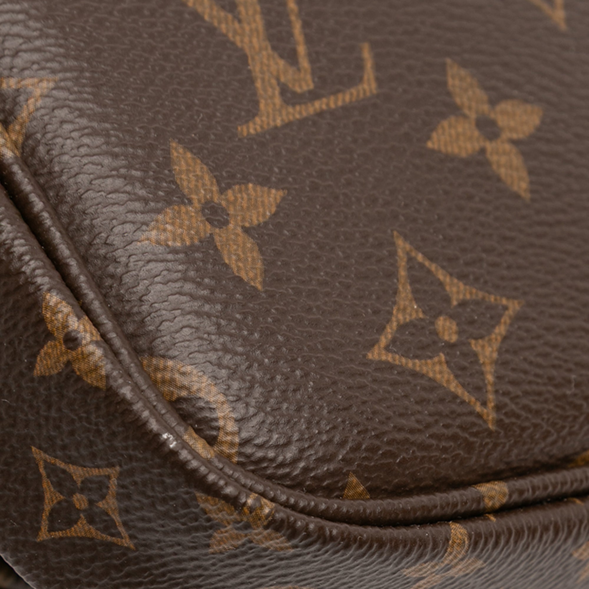 Louis Vuitton Monogram Multi Pochette Accessoires - image 10
