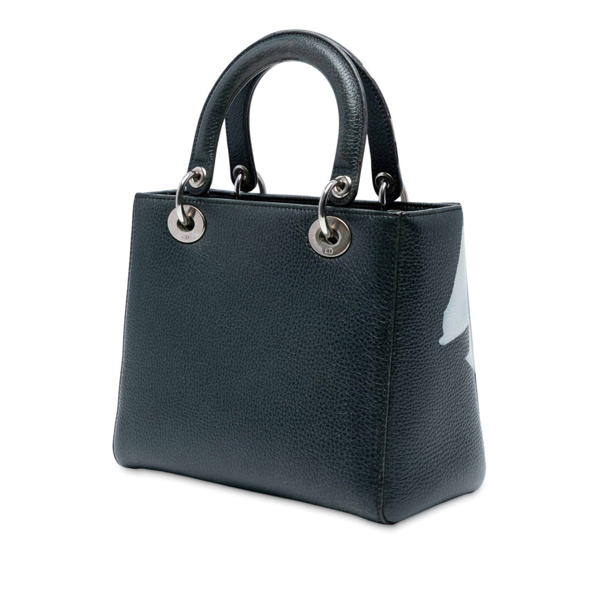 Dior Medium Deerskin Floral Print Lady Dior - image 2