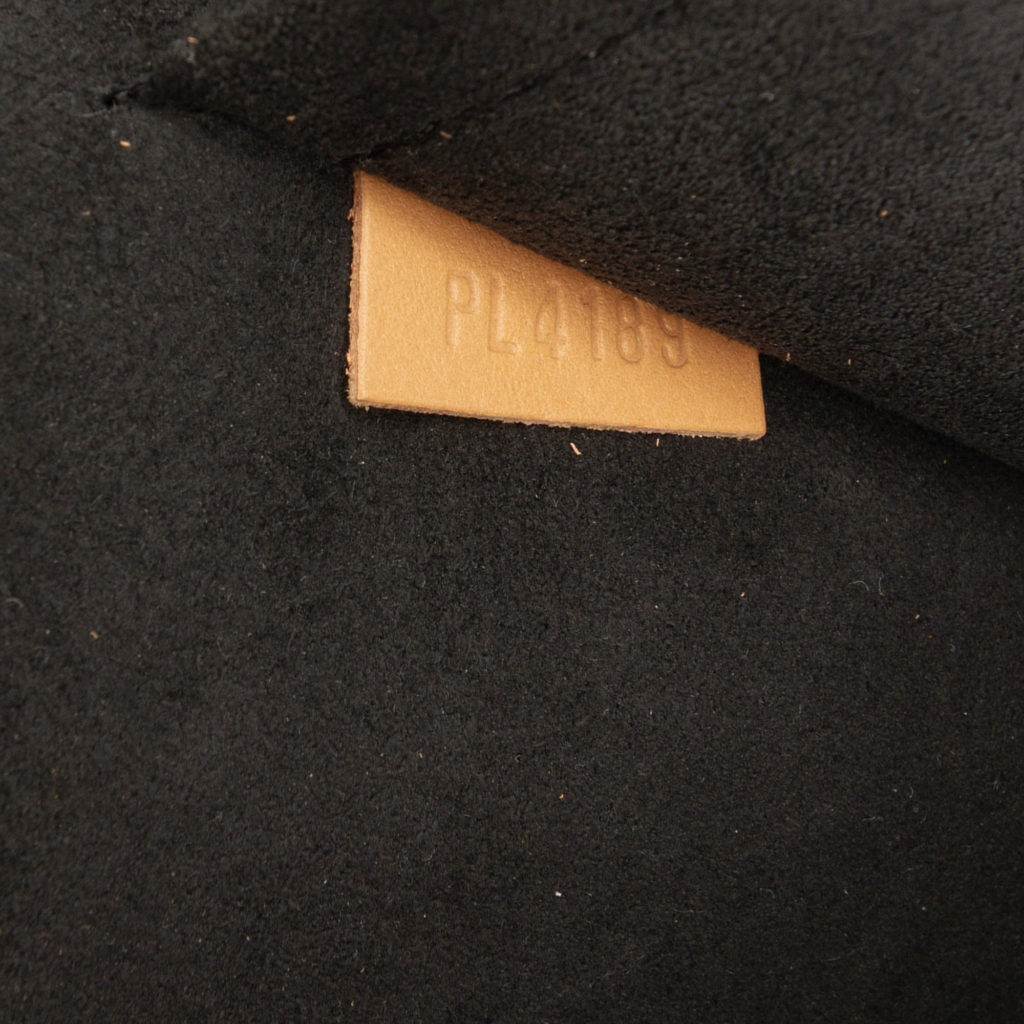 Louis Vuitton Monogram Moon Backpack - image 6