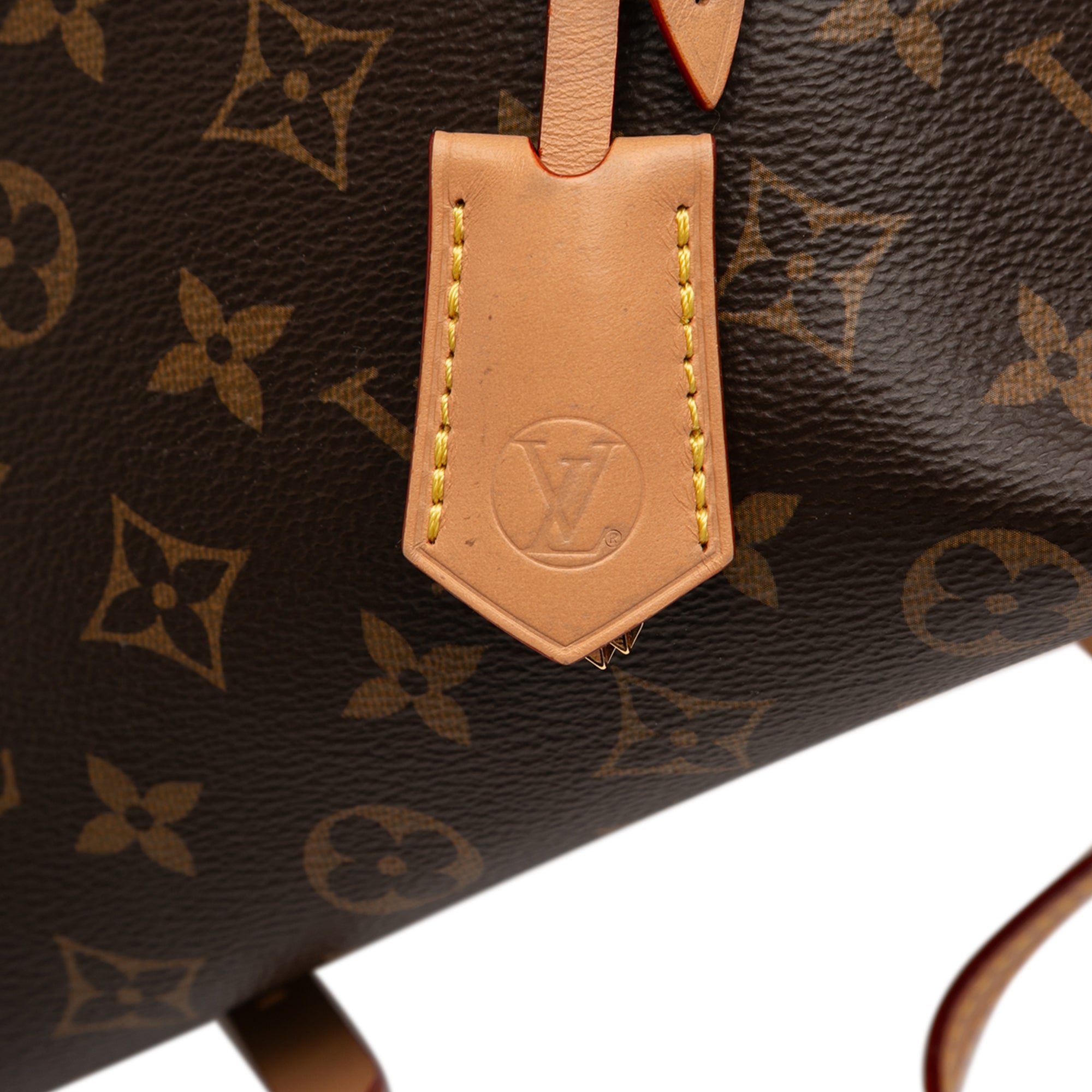 Louis Vuitton Monogram Moon Backpack - image 9