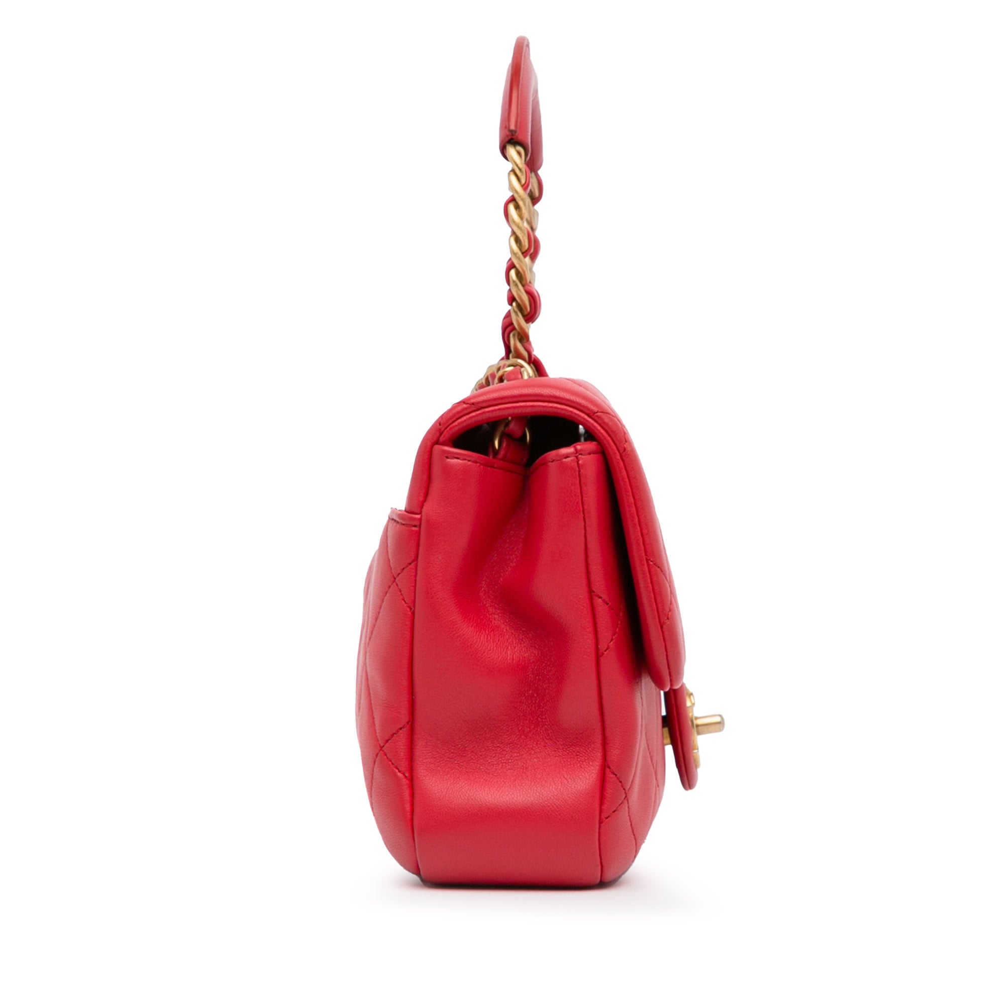 Chanel Medium Lambskin In The Loop Flap - image 3