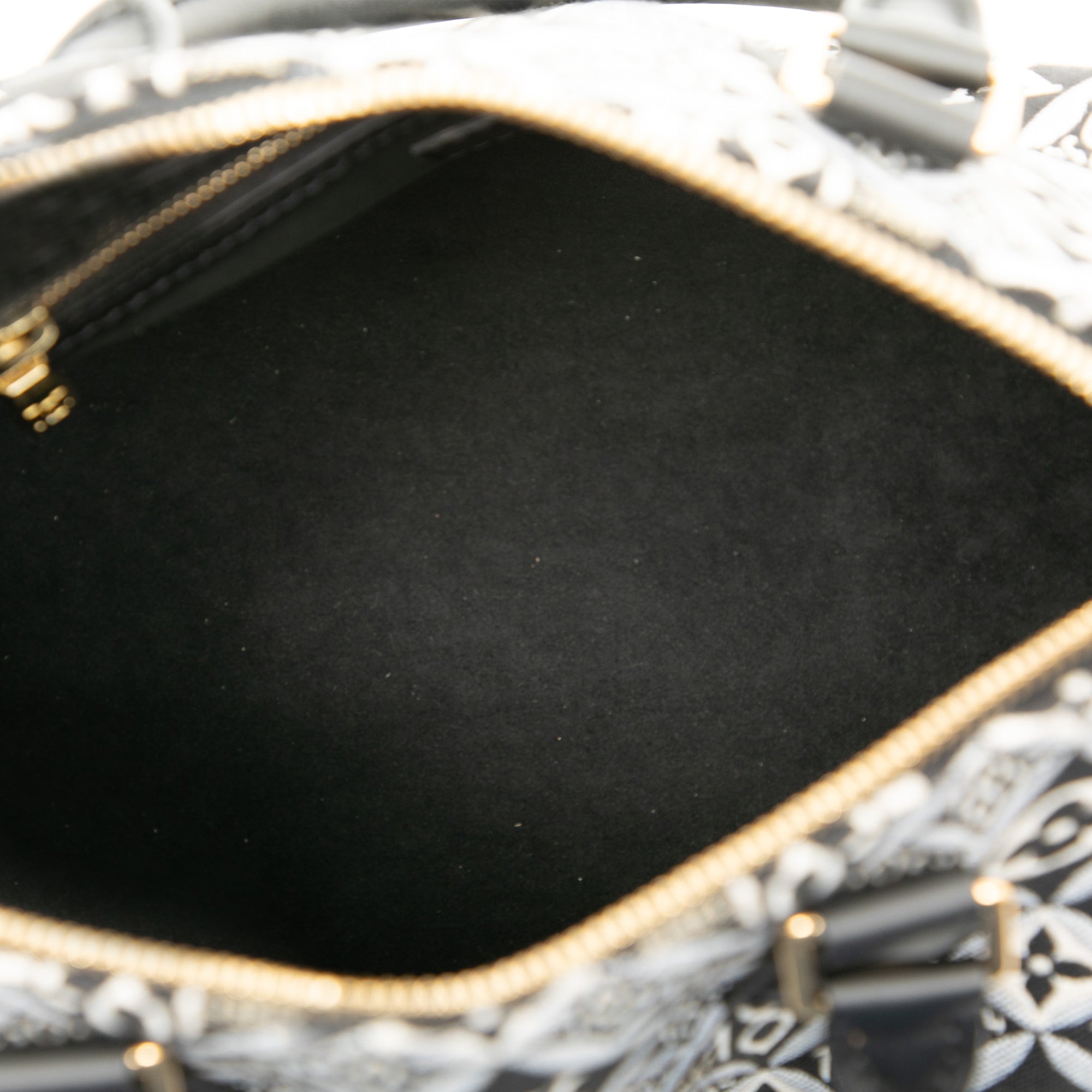 Louis Vuitton Monogram Jacquard Since 1854 Speedy Bandouliere 25 - image 4