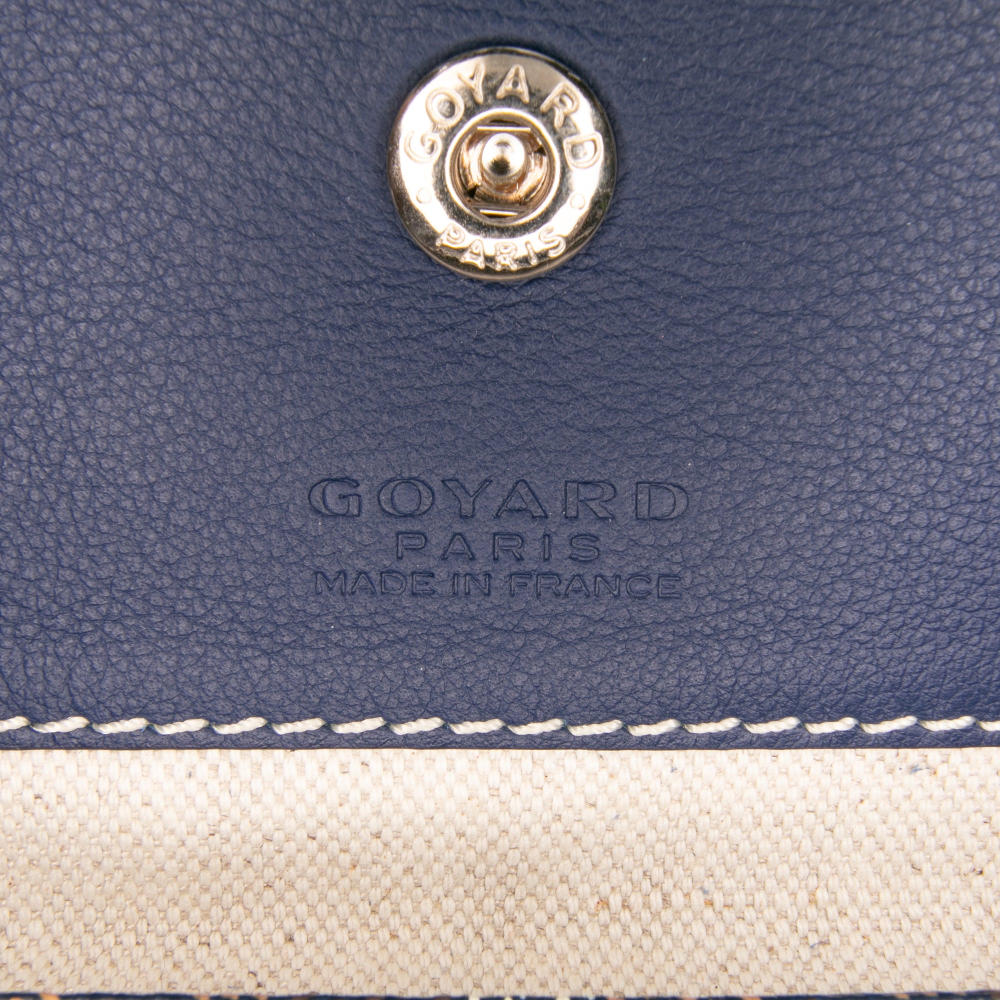 Goyard Goyardine Saint Louis PM - image 6