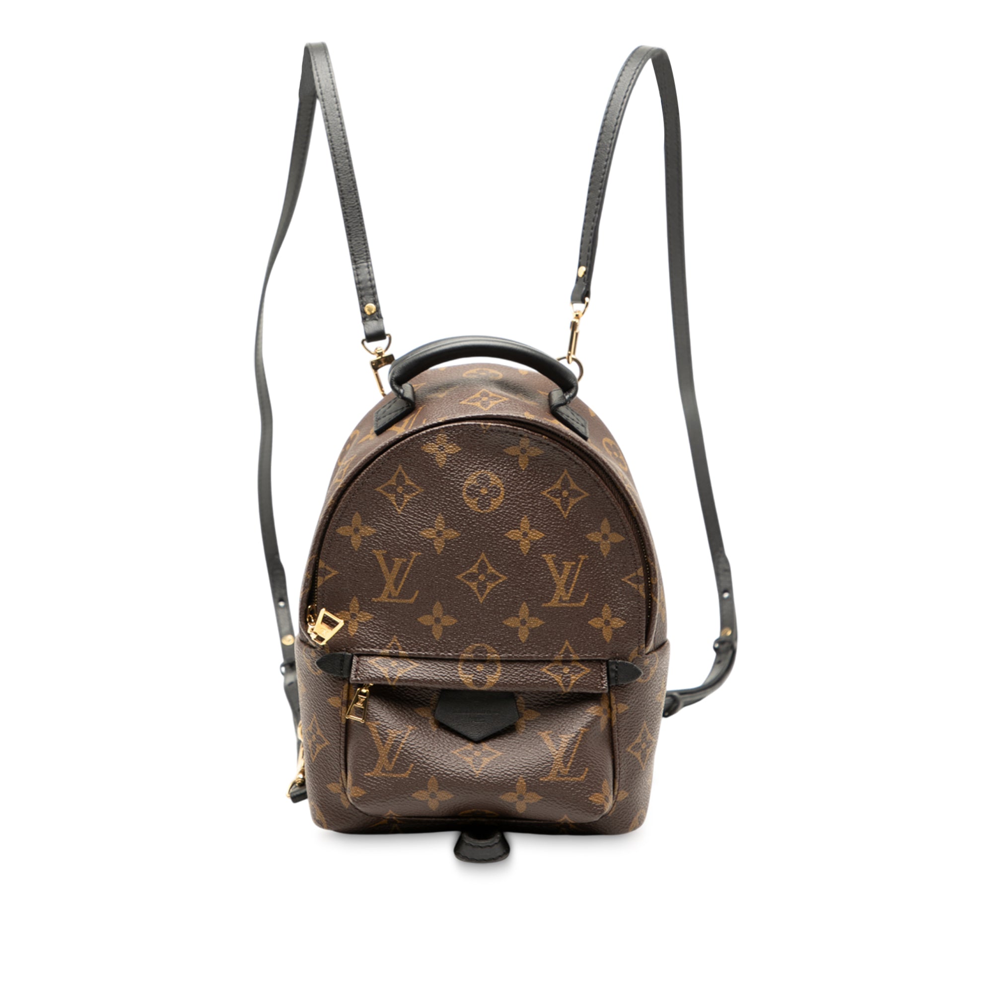 Louis Vuitton Monogram Mini Palm Springs - image 1