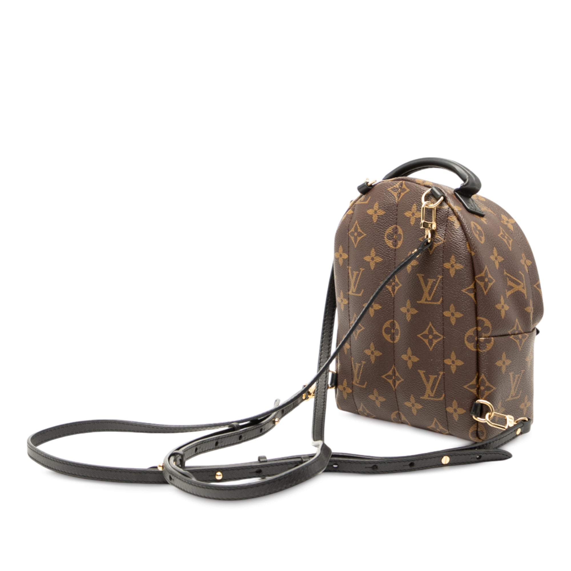 Louis Vuitton Monogram Mini Palm Springs - image 2