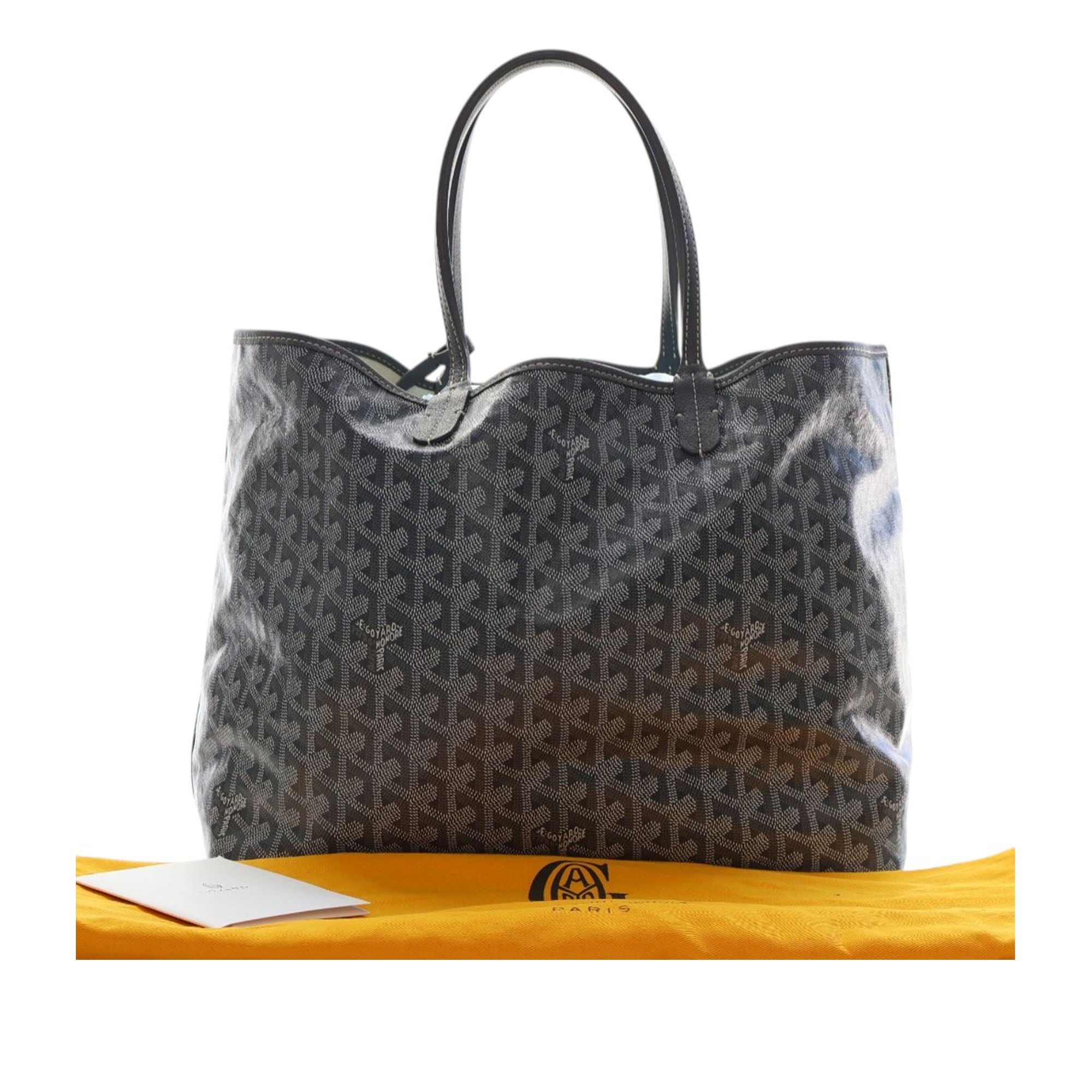 Goyard Goyardine Saint Louis PM - image 15
