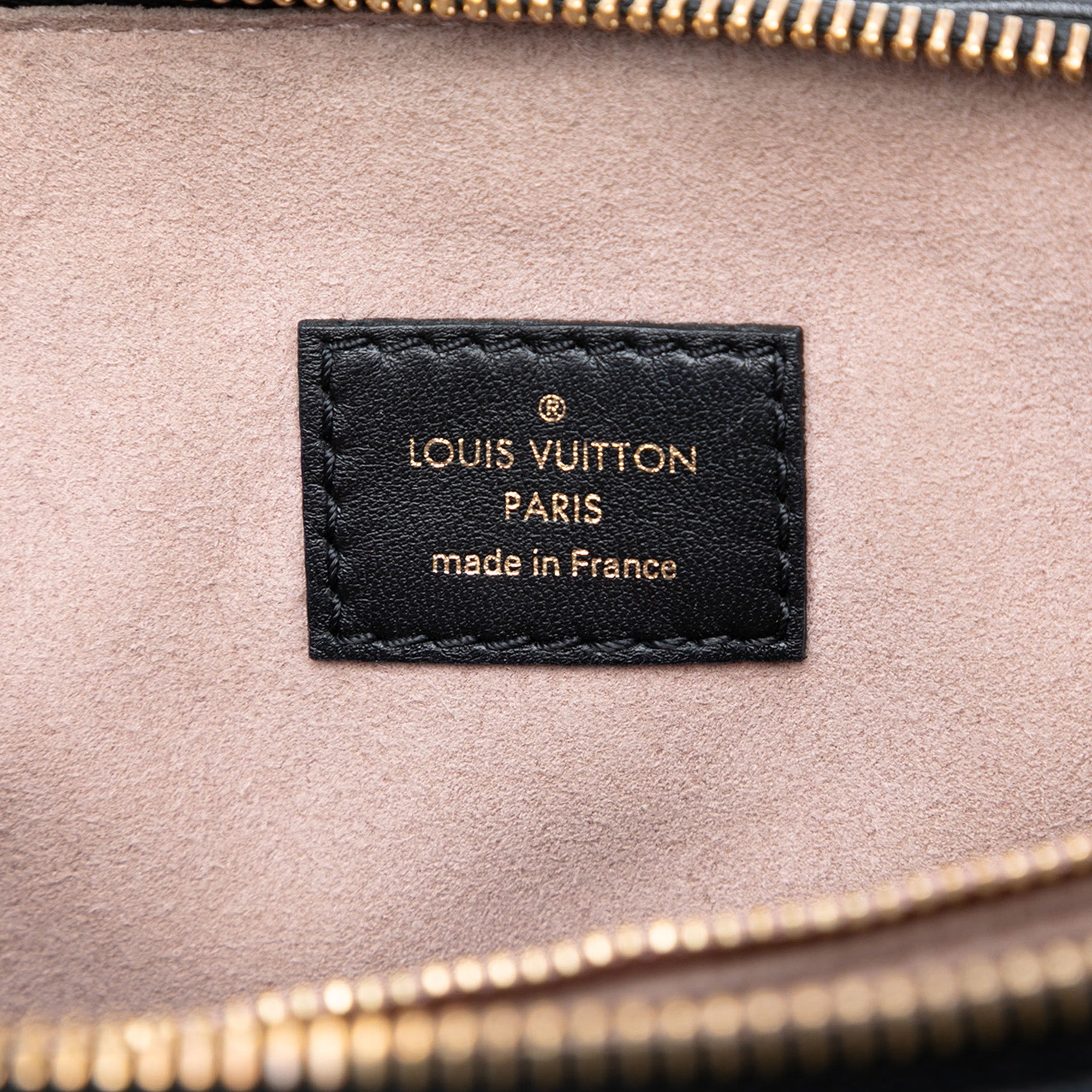 Louis Vuitton Monogram Embossed Puffy Lambskin Coussin PM - image 5