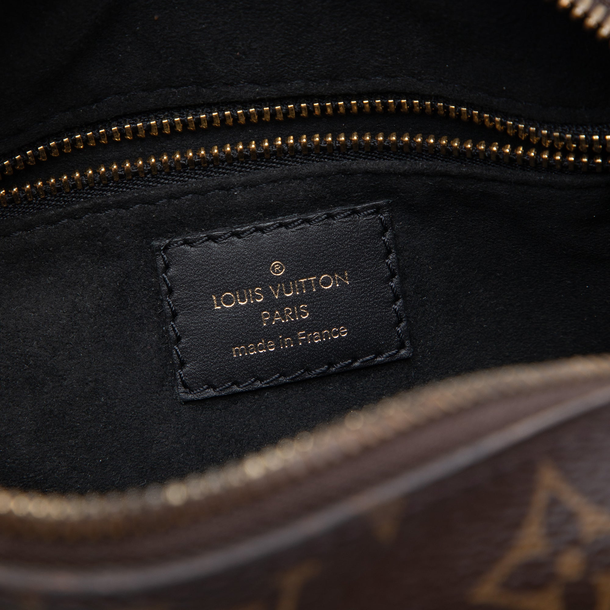 Louis Vuitton Monogram Petite Malle Souple - image 5