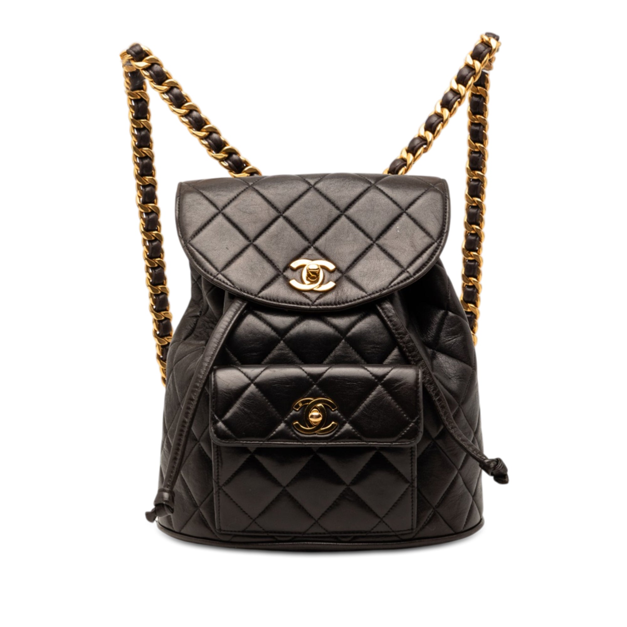Chanel Medium Quilted Lambskin Duma Backpack - image 1