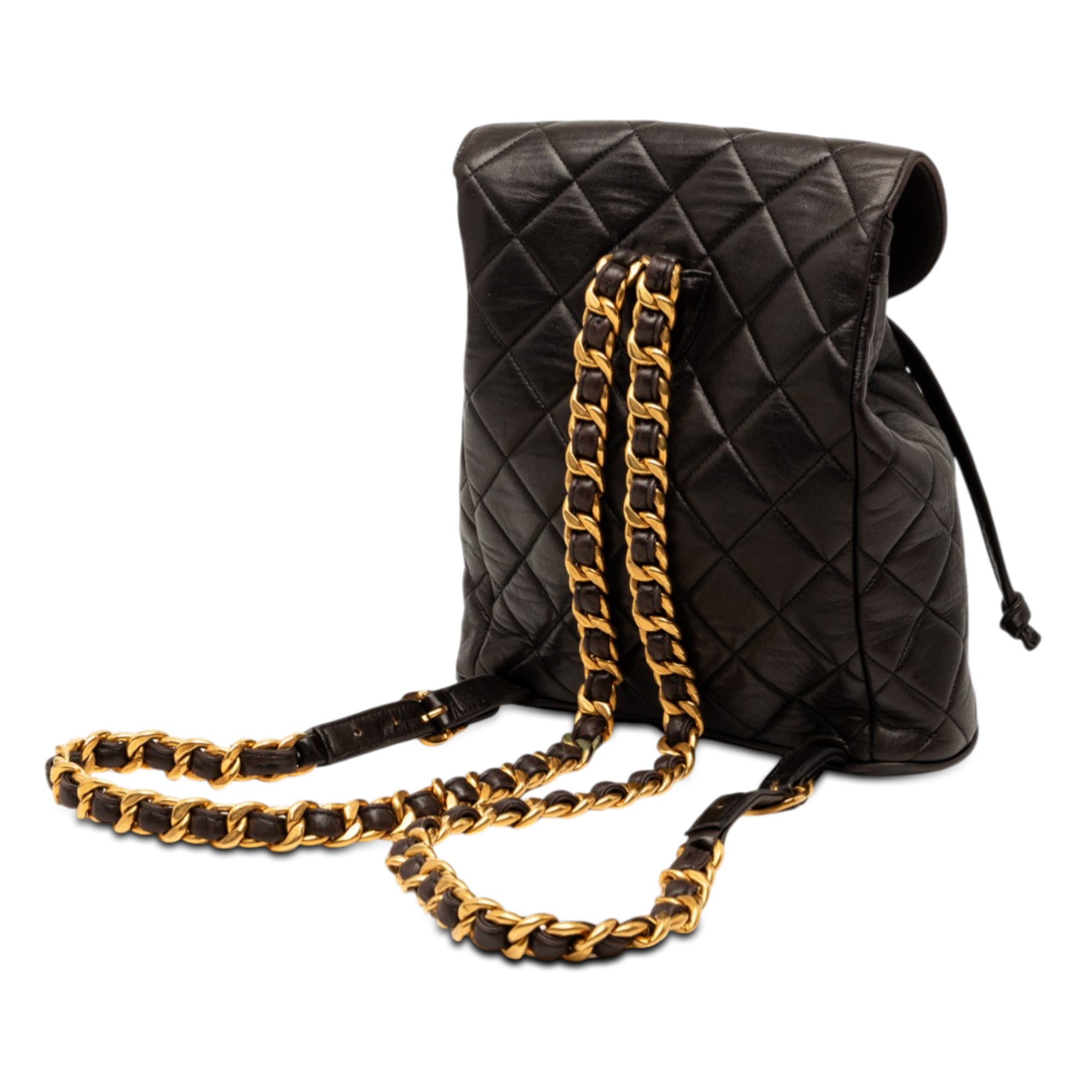 Chanel Medium Quilted Lambskin Duma Backpack - image 2