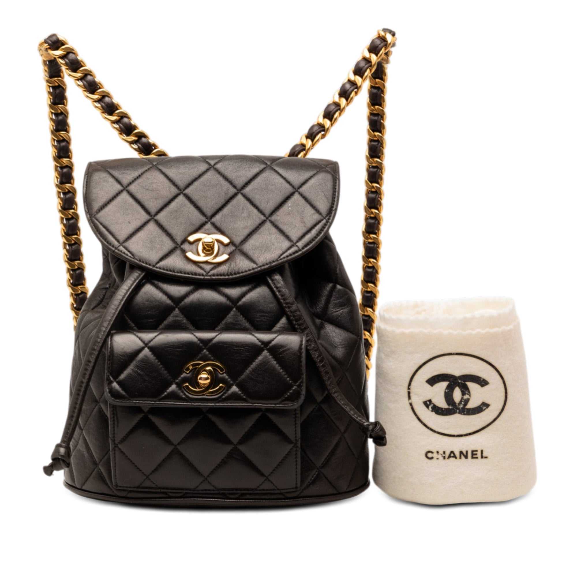 Chanel Medium Quilted Lambskin Duma Backpack - image 9