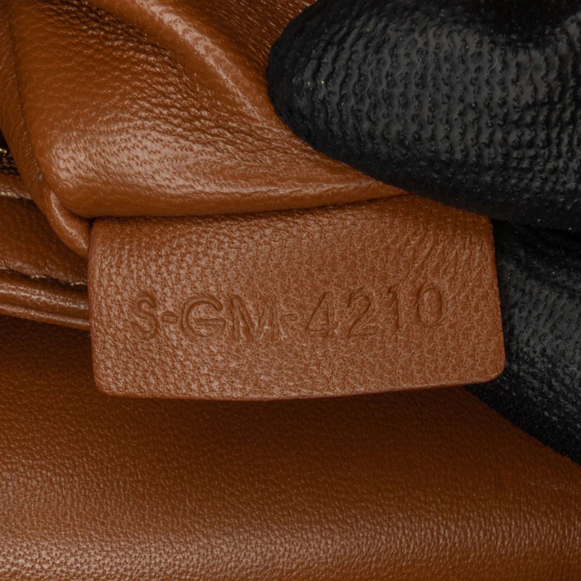 Celine Teen Canvas and Calfskin Triomphe Crossbody - image 5