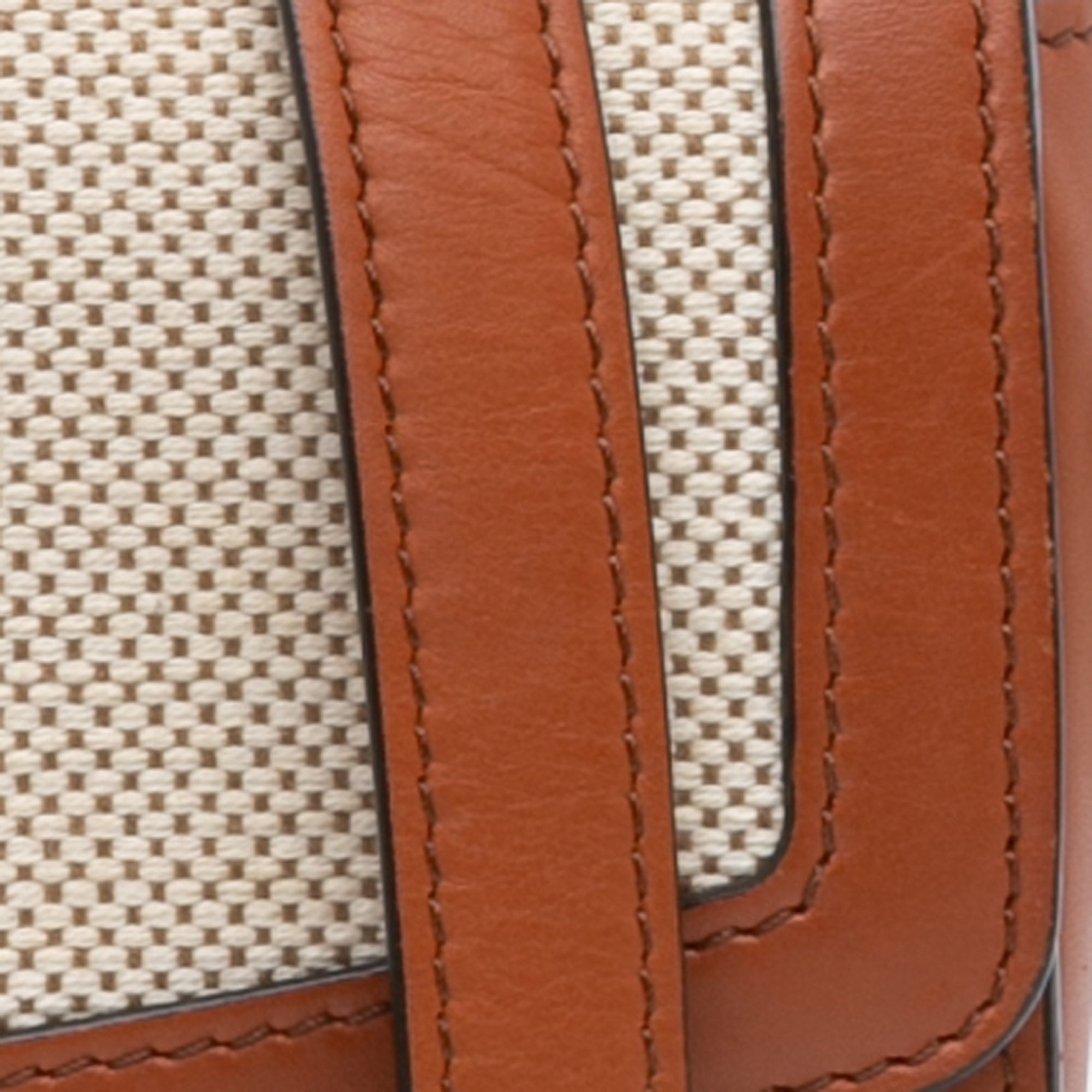 Celine Teen Canvas and Calfskin Triomphe Crossbody - image 6