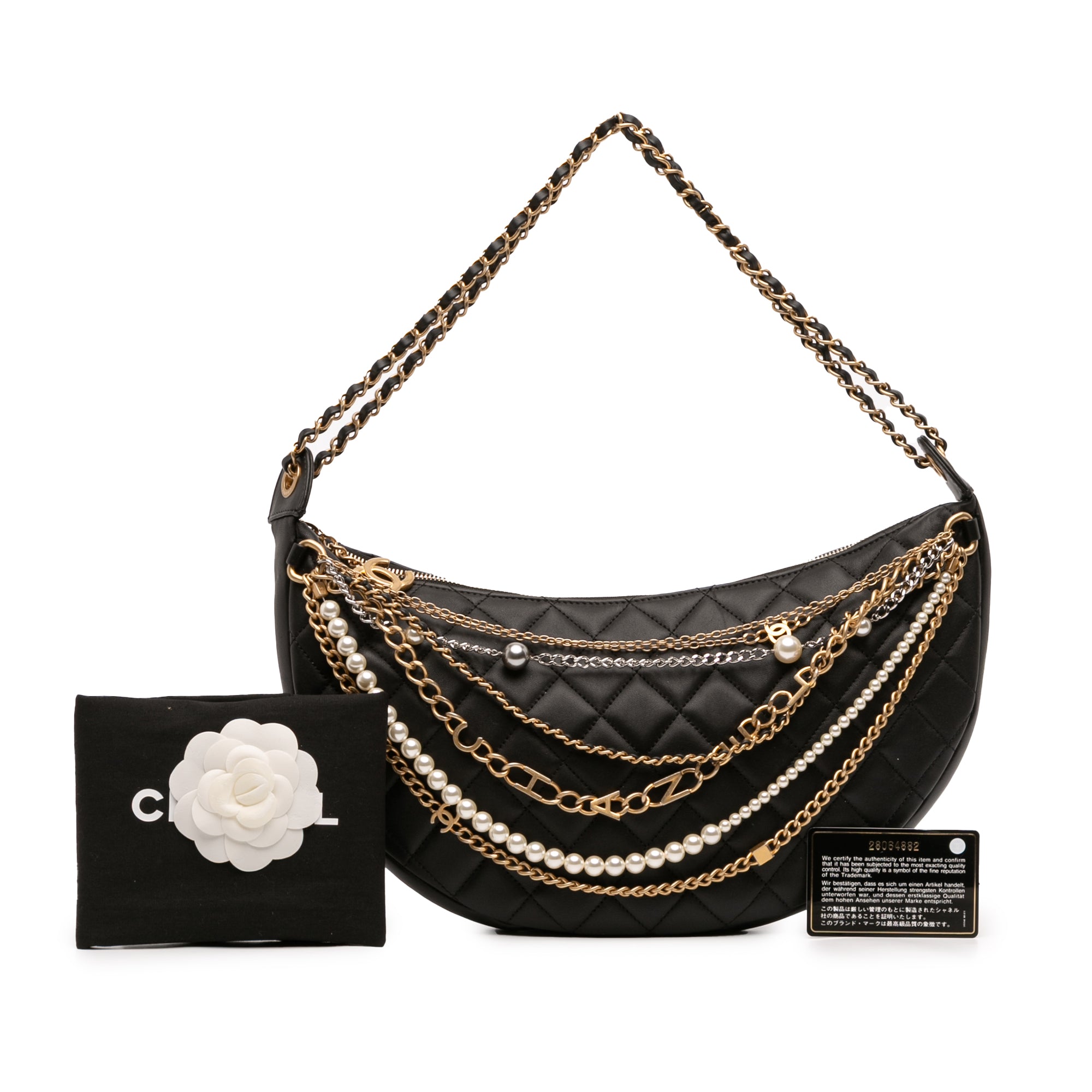 Chanel Quilted Lambskin All About Chains Hobo - image 11