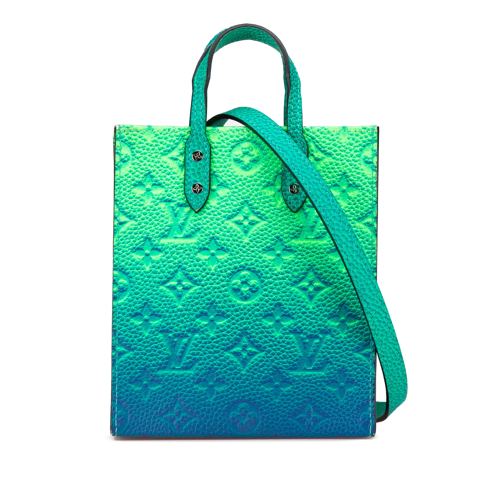 Louis Vuitton Monogram Taurillon Illusion Sac Plat XS - image 1