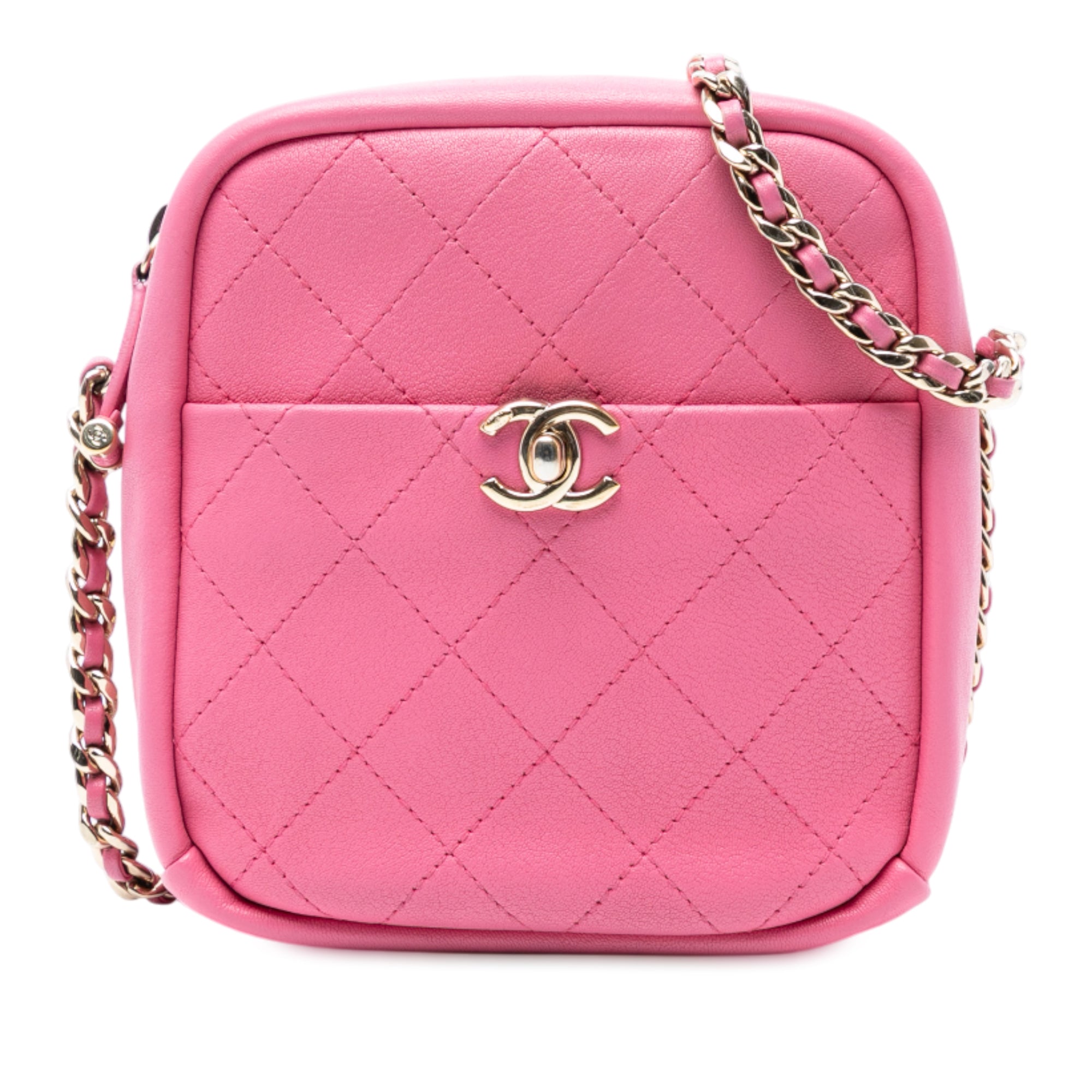 Chanel Stitched Goatskin Casual Trip North South Camera Case - image 1