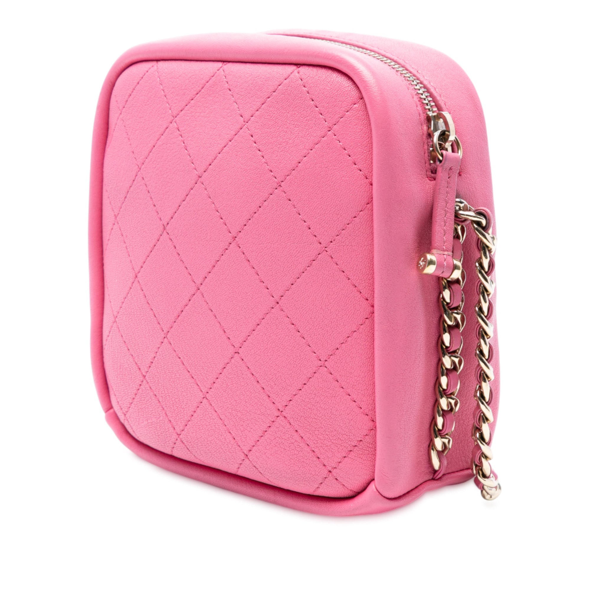 Chanel Stitched Goatskin Casual Trip North South Camera Case - image 2