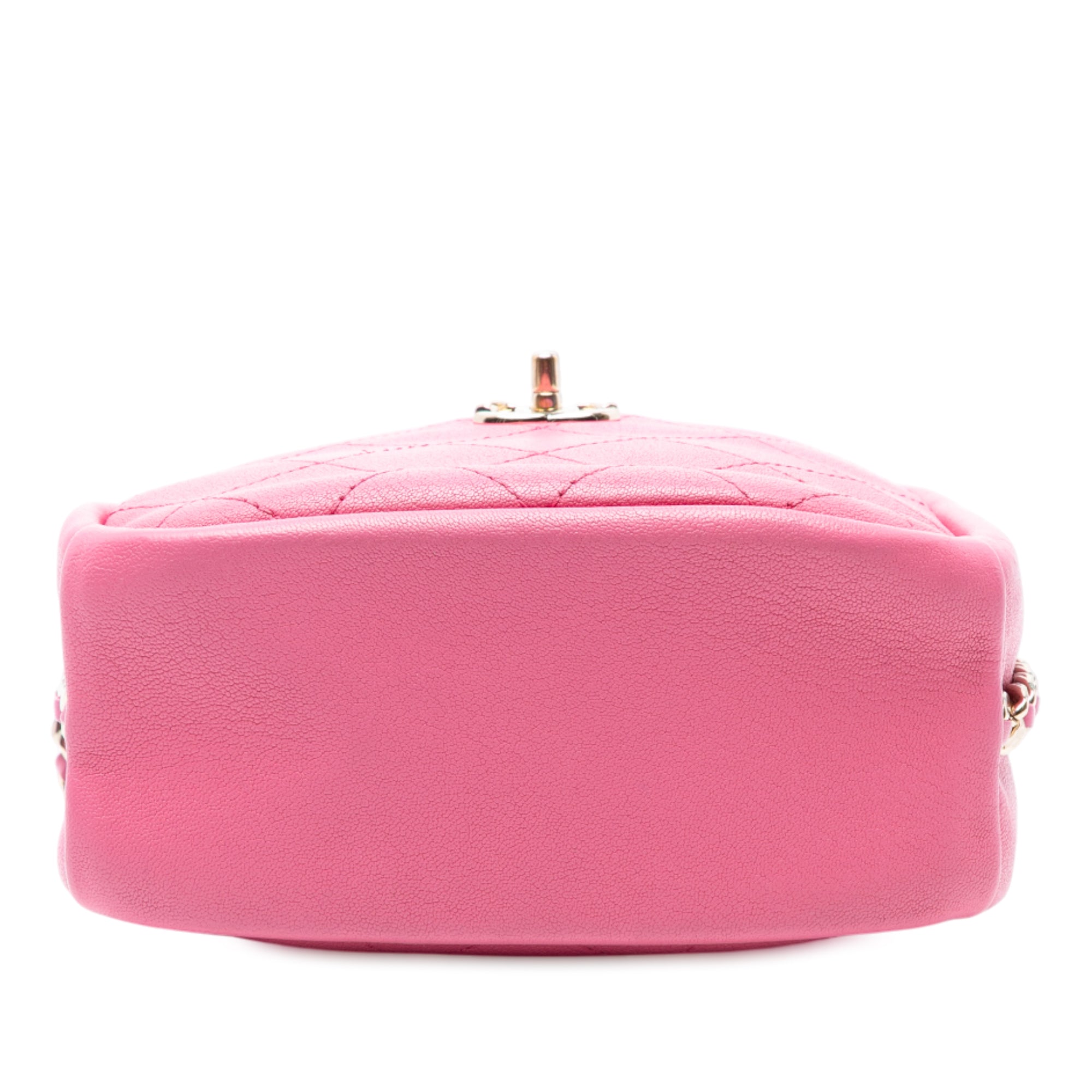 Chanel Stitched Goatskin Casual Trip North South Camera Case - image 3