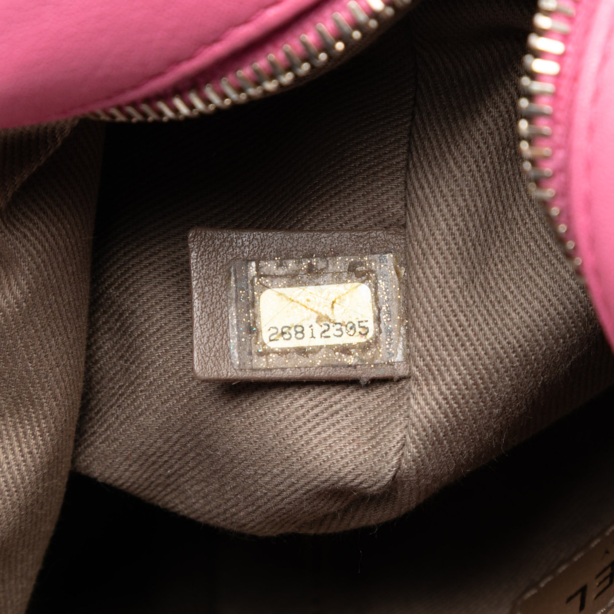 Chanel Stitched Goatskin Casual Trip North South Camera Case - image 5